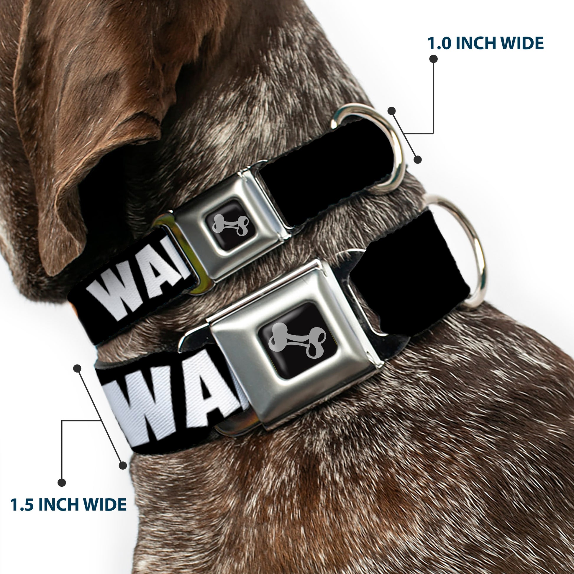 Dog Bone Seatbelt Buckle Collar - I Heart Waffles Text Seatbelt Buckle Collars Buckle-Down