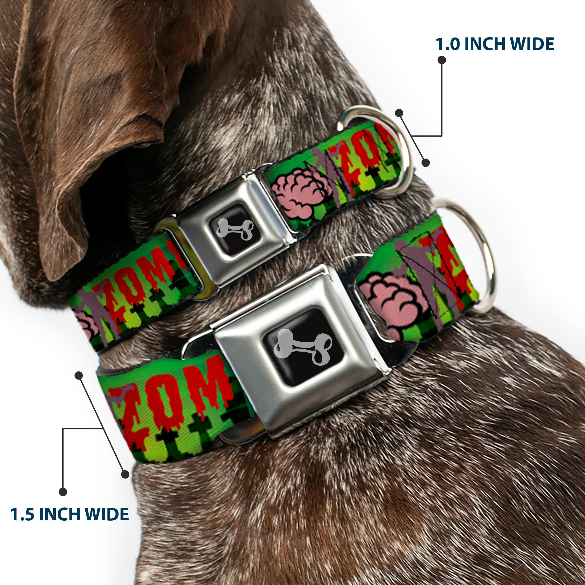 Dog Bone Seatbelt Buckle Collar - I "Brain" ZOMBIES Seatbelt Buckle Collars Buckle-Down