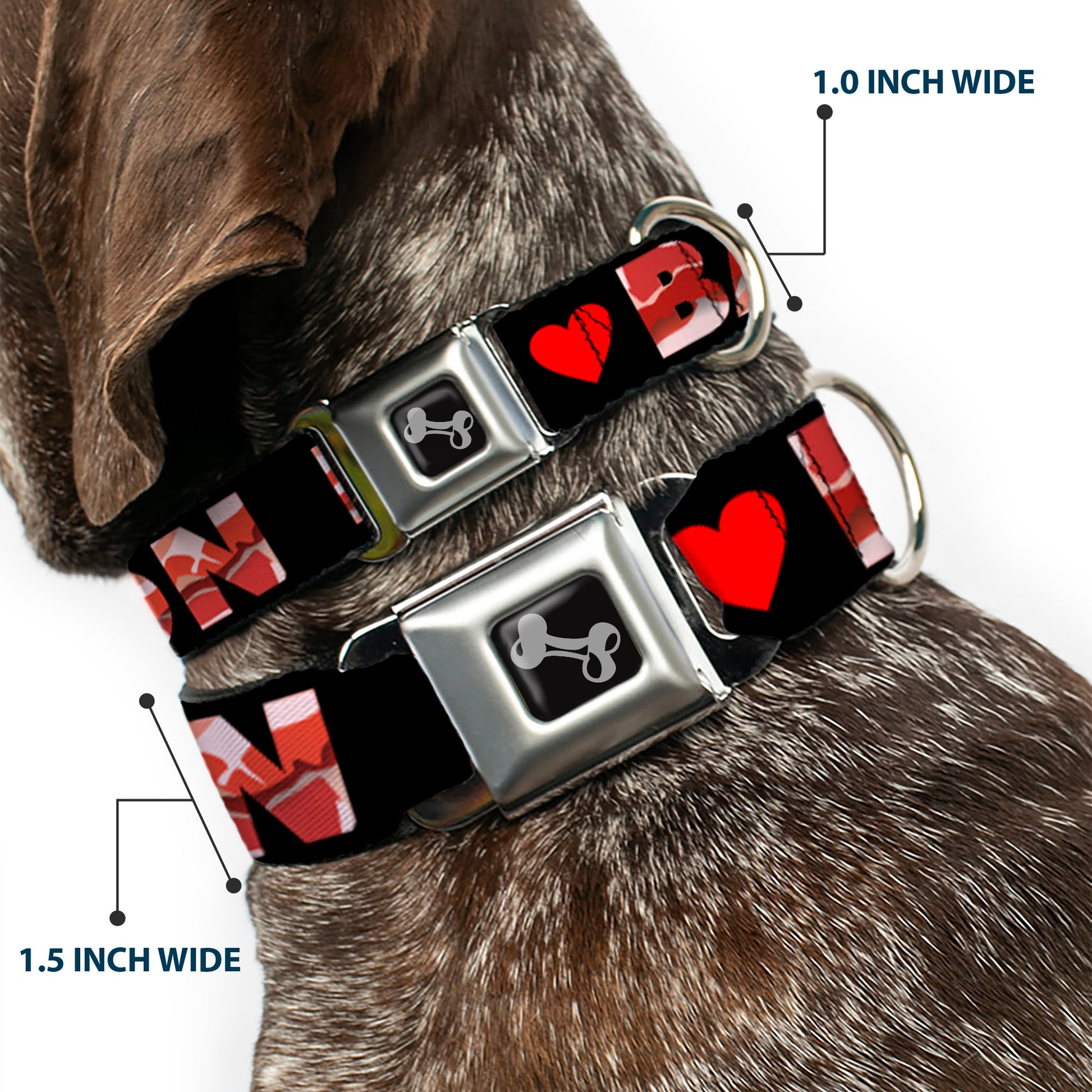 Dog Bone Seatbelt Buckle Collar - I "Heart" BACON Black/Bacon Seatbelt Buckle Collars Buckle-Down