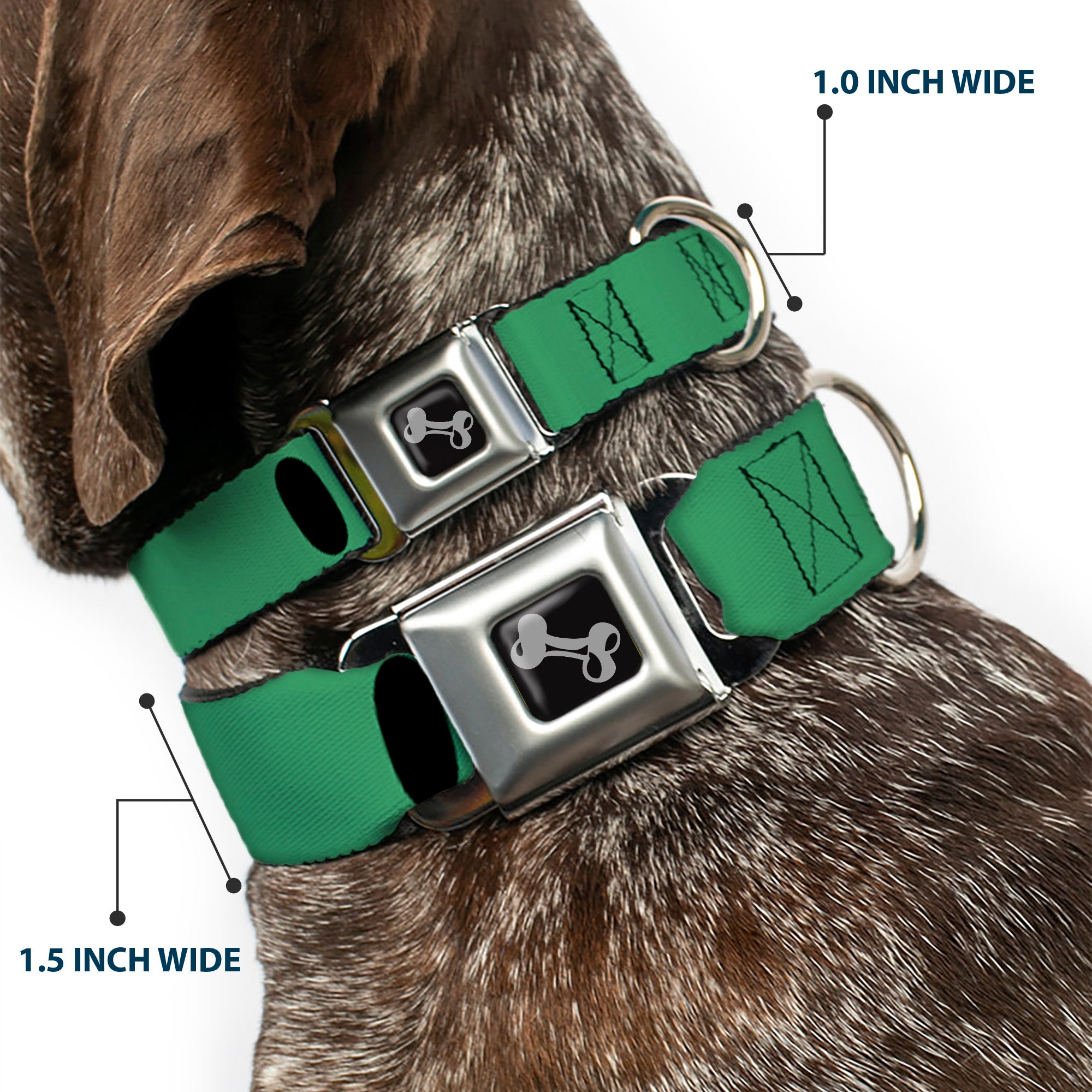 Dog Bone Seatbelt Buckle Collar - I "Heart" PANDAS Green/White/Black/Pink Seatbelt Buckle Collars Buckle-Down