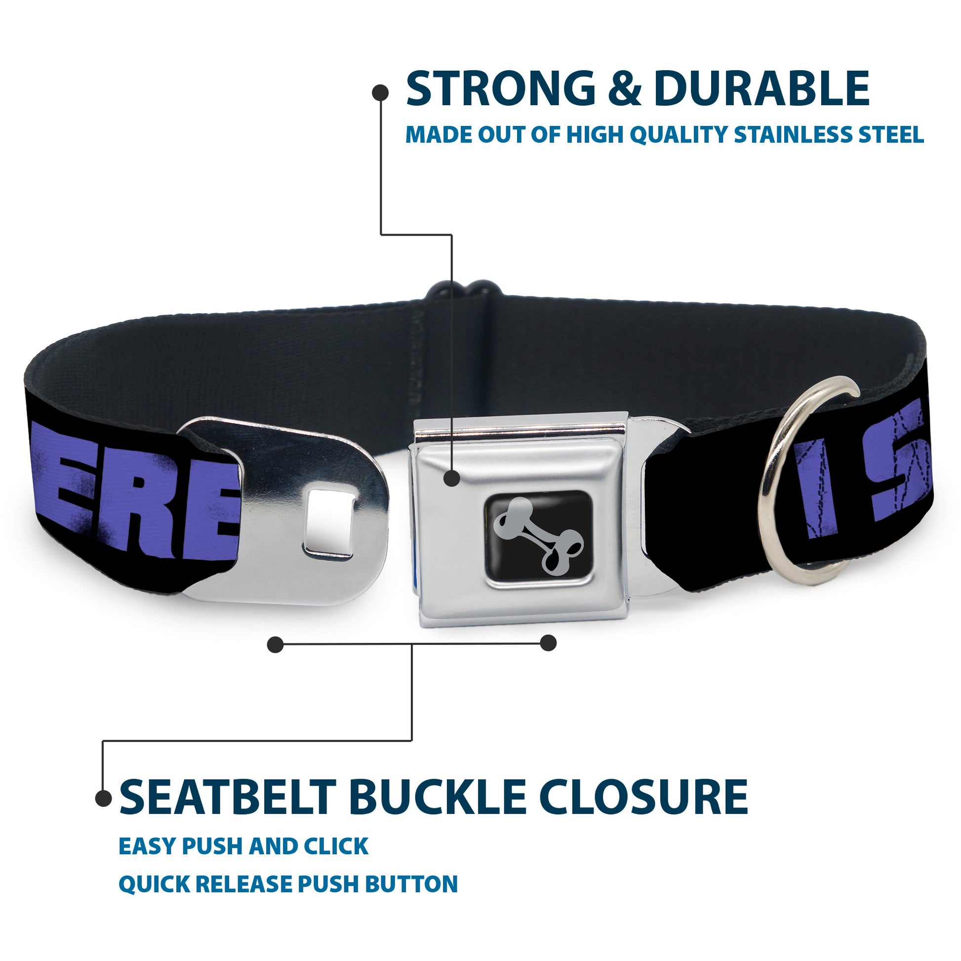 Dog Bone Seatbelt Buckle Collar - I SEE WHAT YOU DID THERE Weathered Black/Purple Seatbelt Buckle Collars Buckle-Down