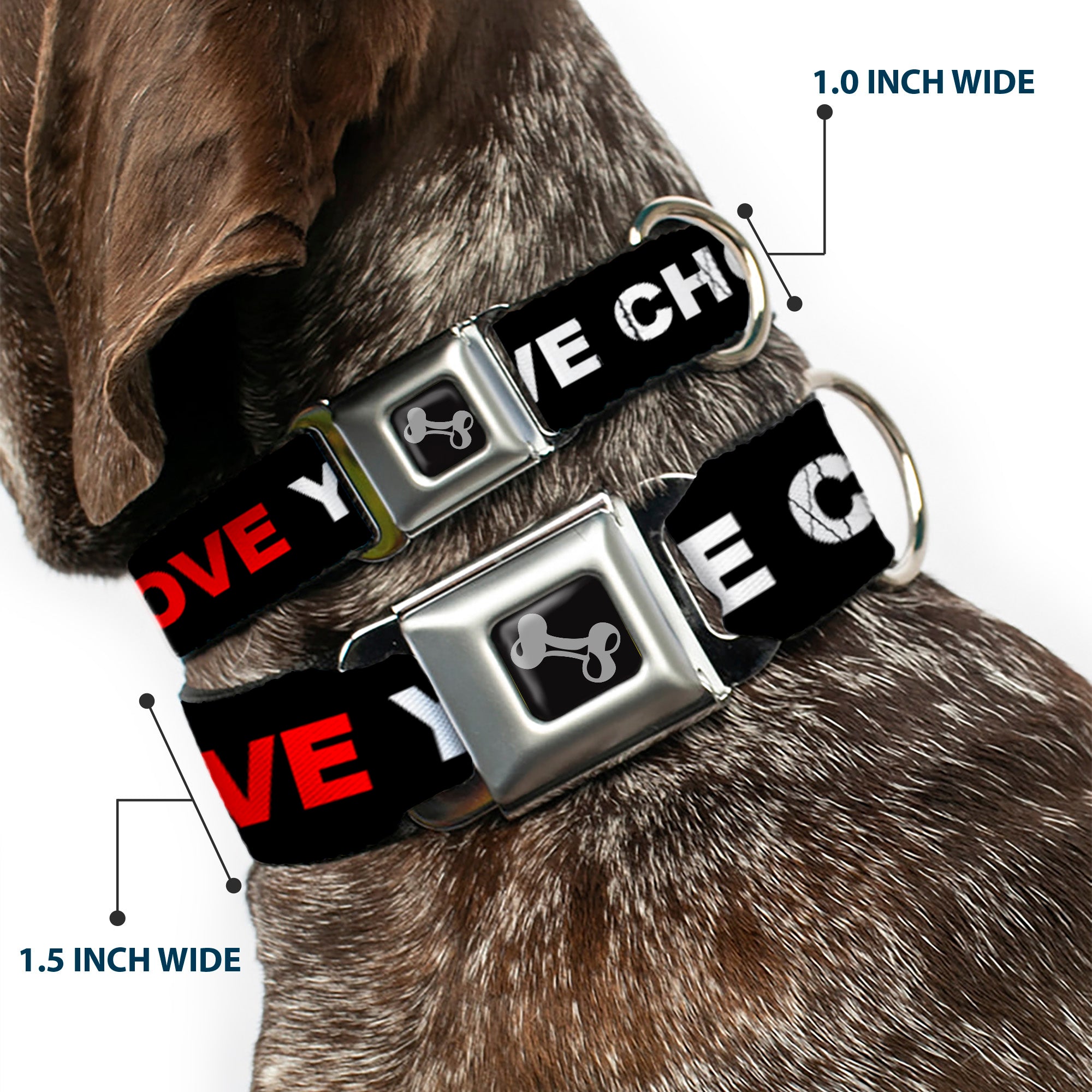 Dog Bone Black/Silver Seatbelt Buckle Collar - I LOVE YOU BUT I'VE CHOSEN DUBSTEP Black/White/Red Seatbelt Buckle Collars Buckle-Down