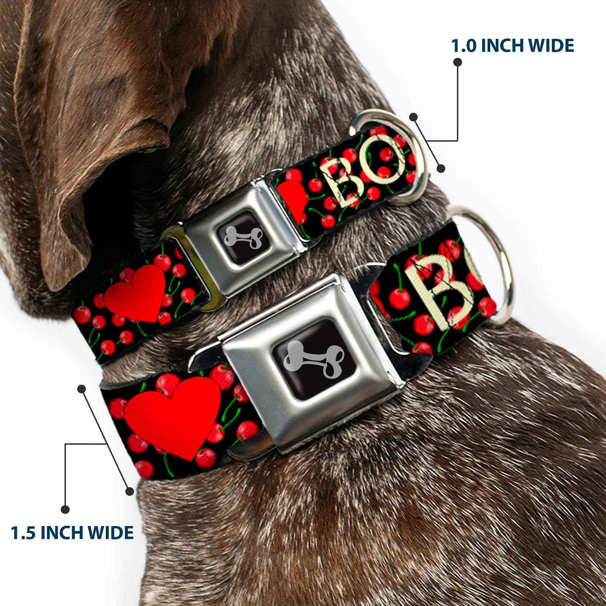 Dog Bone Seatbelt Buckle Collar - I Heart BOYS Black/Cherries Seatbelt Buckle Collars Buckle-Down