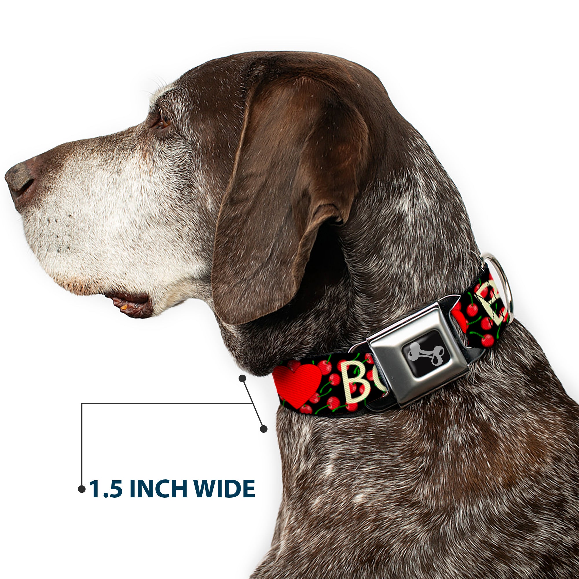 Dog Bone Seatbelt Buckle Collar - I Heart BOYS Black/Cherries Seatbelt Buckle Collars Buckle-Down