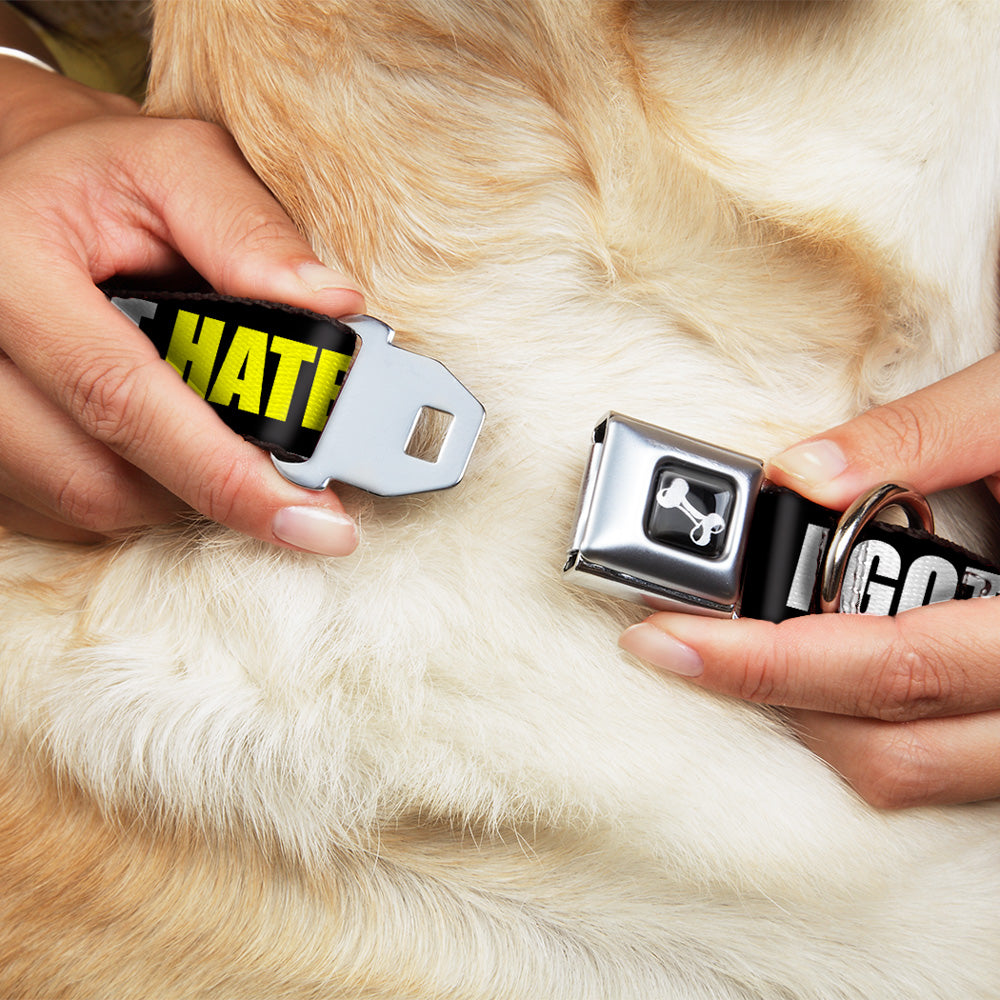Dog Bone Seatbelt Buckle Collar - I GOT HATERS EVERYWHERE Black/White/Yellow Seatbelt Buckle Collars Buckle-Down