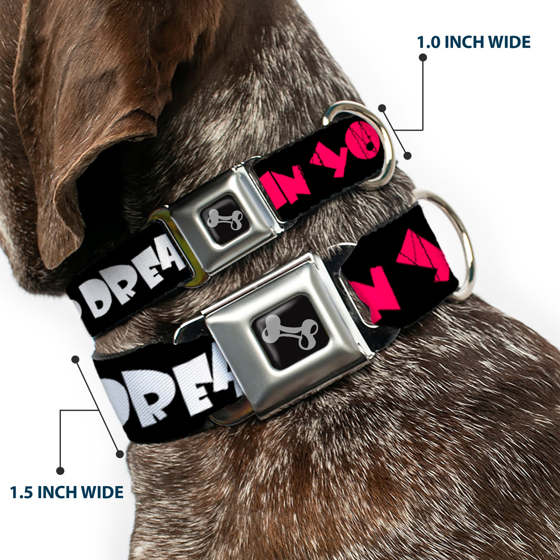 Dog Bone Seatbelt Buckle Collar - IN YOUR DREAMS! Black/White/Pink Seatbelt Buckle Collars Buckle-Down