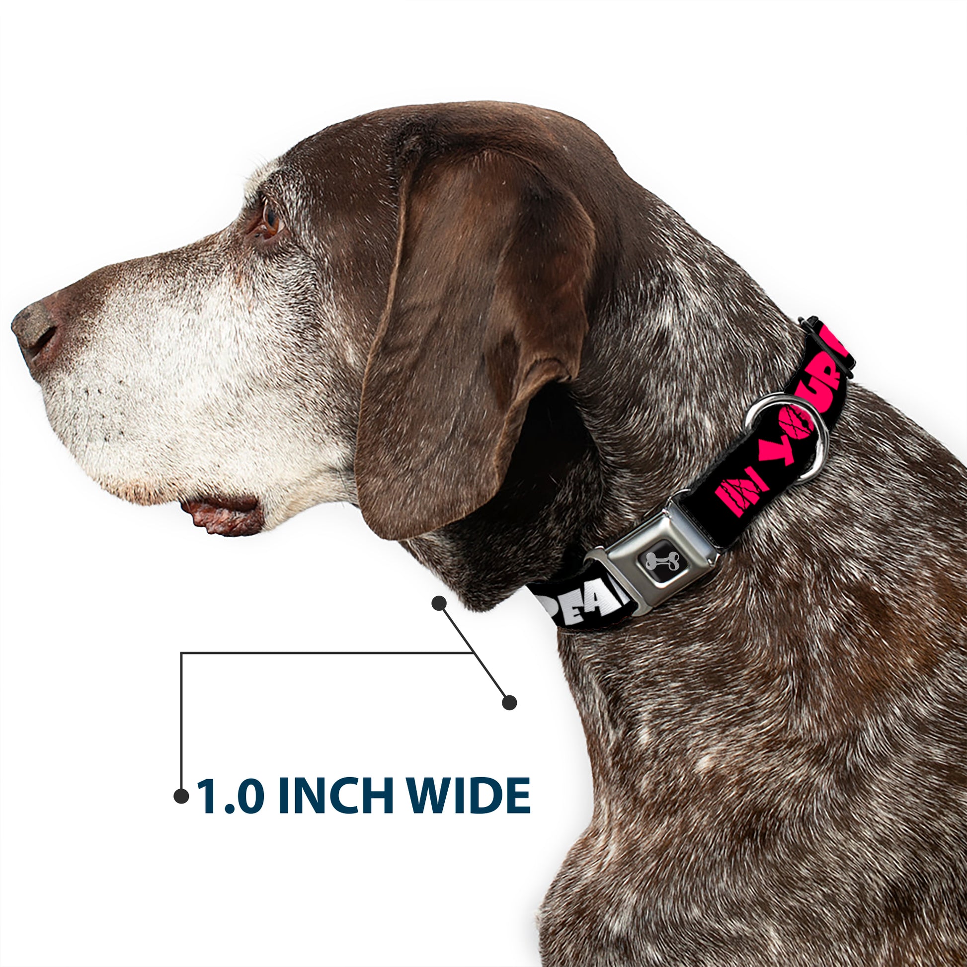 Dog Bone Seatbelt Buckle Collar - IN YOUR DREAMS! Black/White/Pink Seatbelt Buckle Collars Buckle-Down