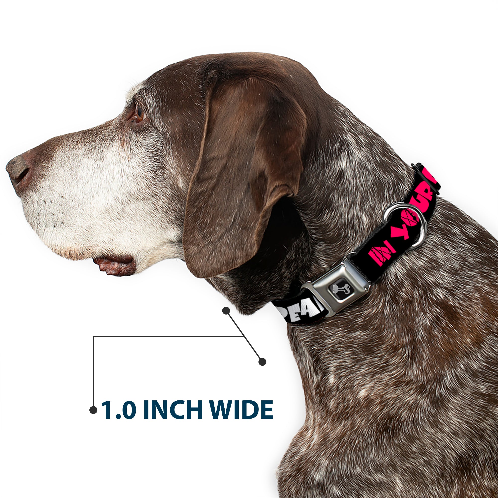 Dog Bone Seatbelt Buckle Collar - IN YOUR DREAMS! Black/White/Pink Seatbelt Buckle Collars Buckle-Down
