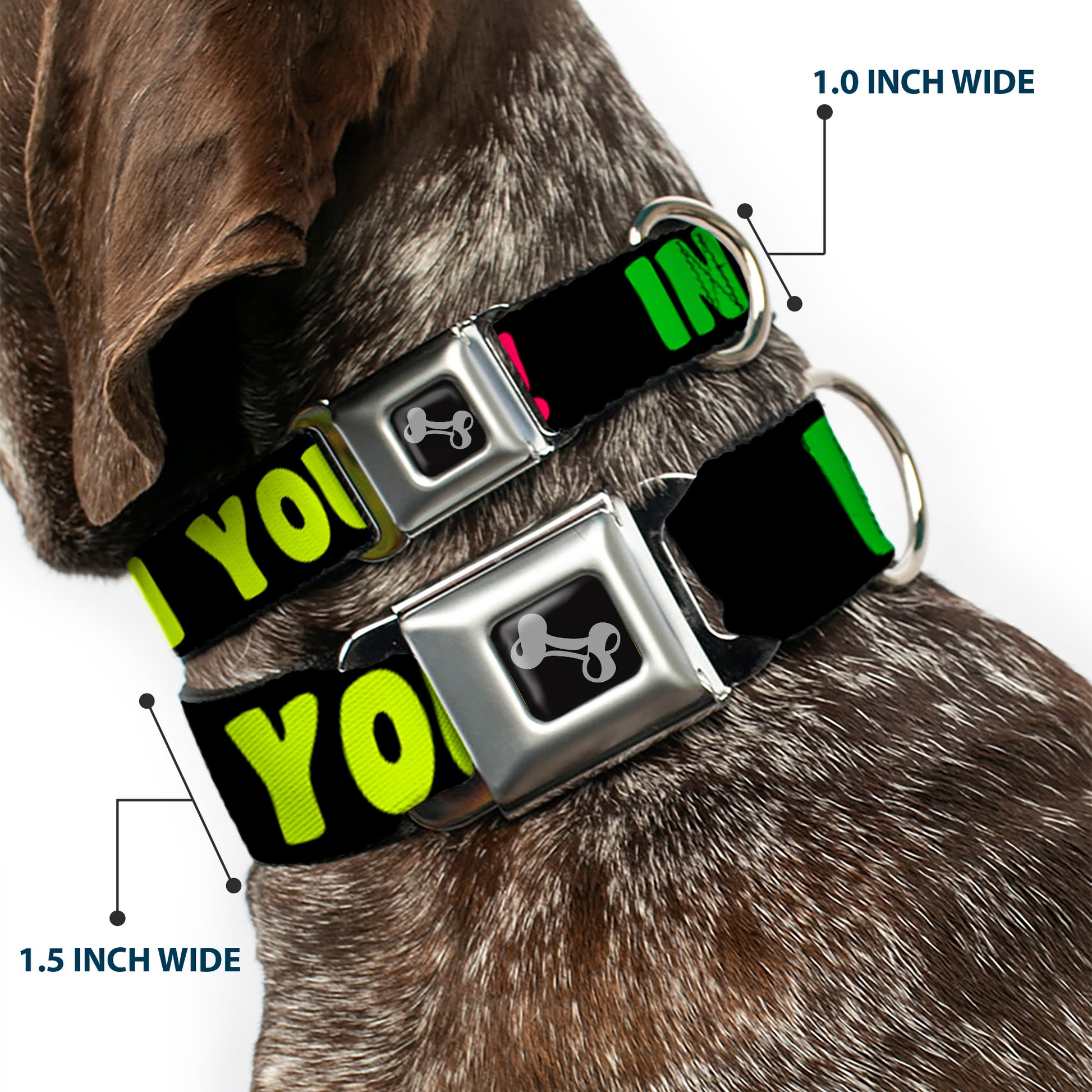 Dog Bone Black/Silver Seatbelt Buckle Collar - IN YOUR DREAMS! Black/Pink/Green/Yellow Seatbelt Buckle Collars Buckle-Down