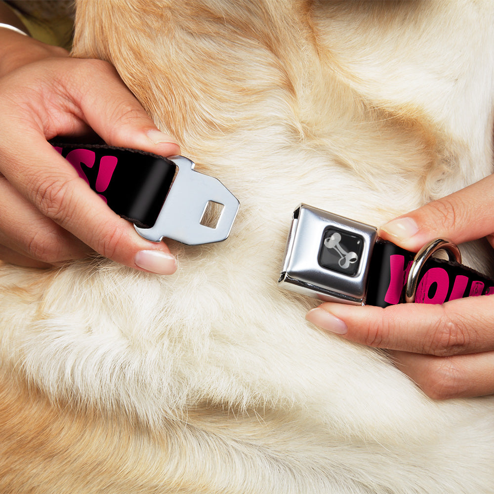 Dog Bone Black/Silver Seatbelt Buckle Collar - IN YOUR DREAMS! Black/Pink/Green/Yellow Seatbelt Buckle Collars Buckle-Down