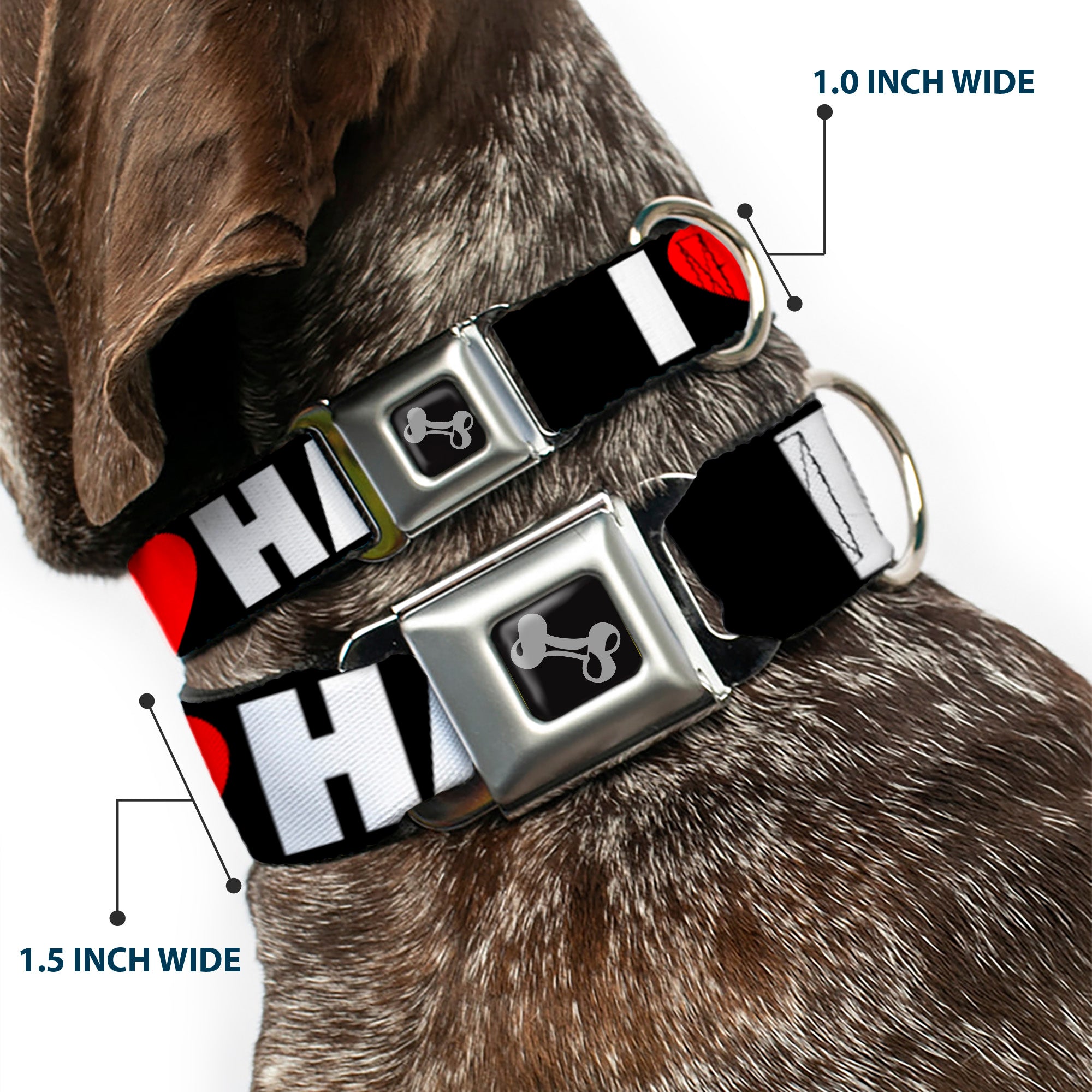 Dog Bone Seatbelt Buckle Collar - I "Heart" HATERS Black/White/Red Seatbelt Buckle Collars Buckle-Down