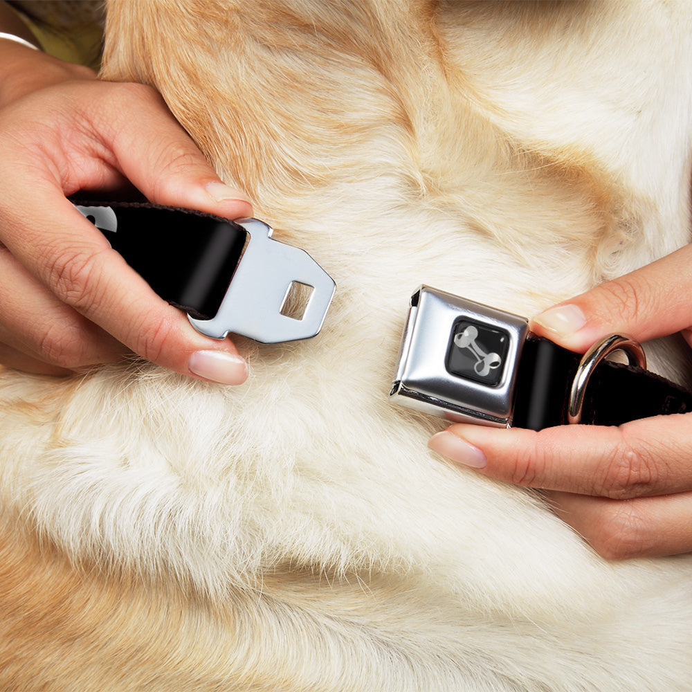 Dog Bone Seatbelt Buckle Collar - I "Heart" HATERS Black/White/Red Seatbelt Buckle Collars Buckle-Down
