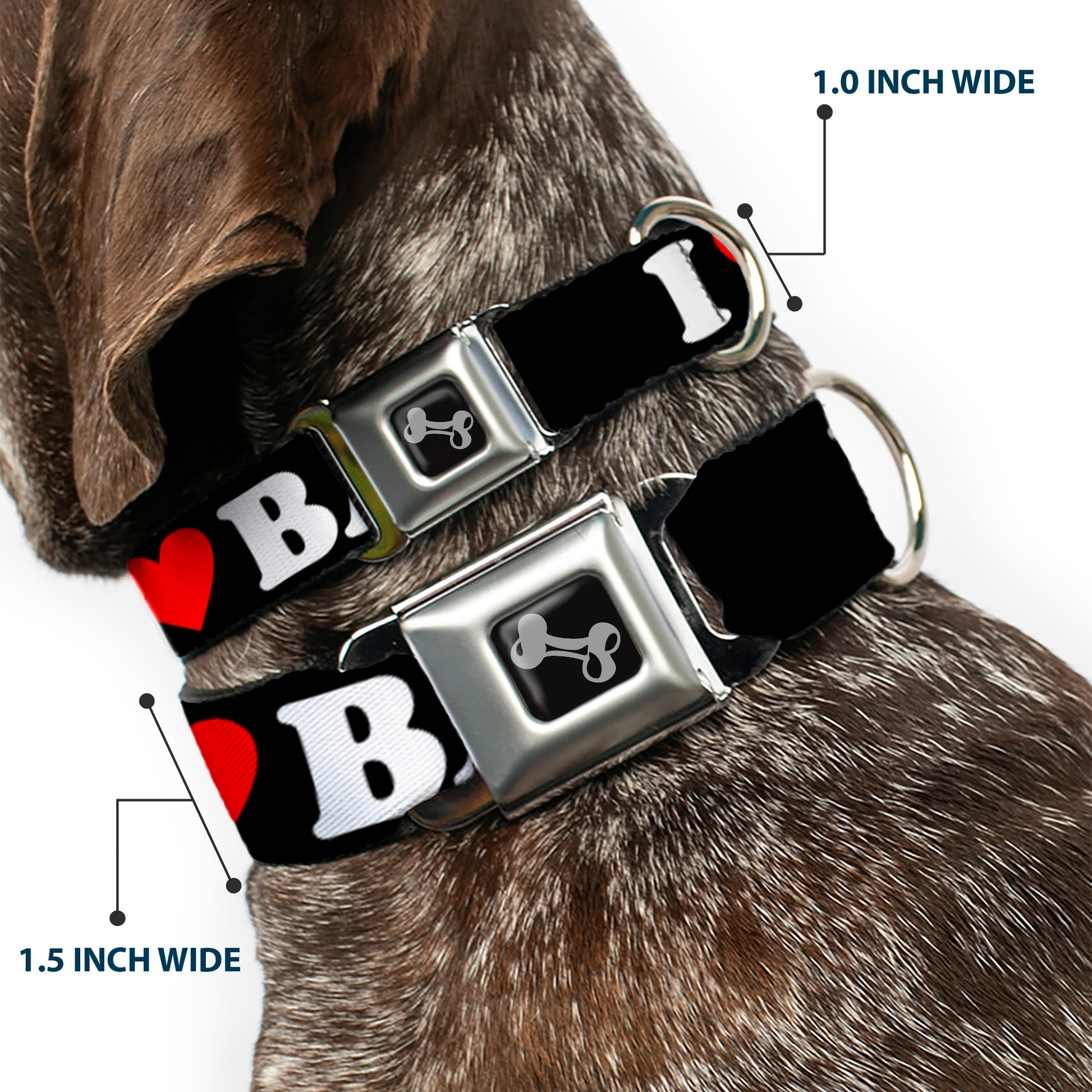 Dog Bone Seatbelt Buckle Collar - I "HEART" BACON Black/White/Red Seatbelt Buckle Collars Buckle-Down