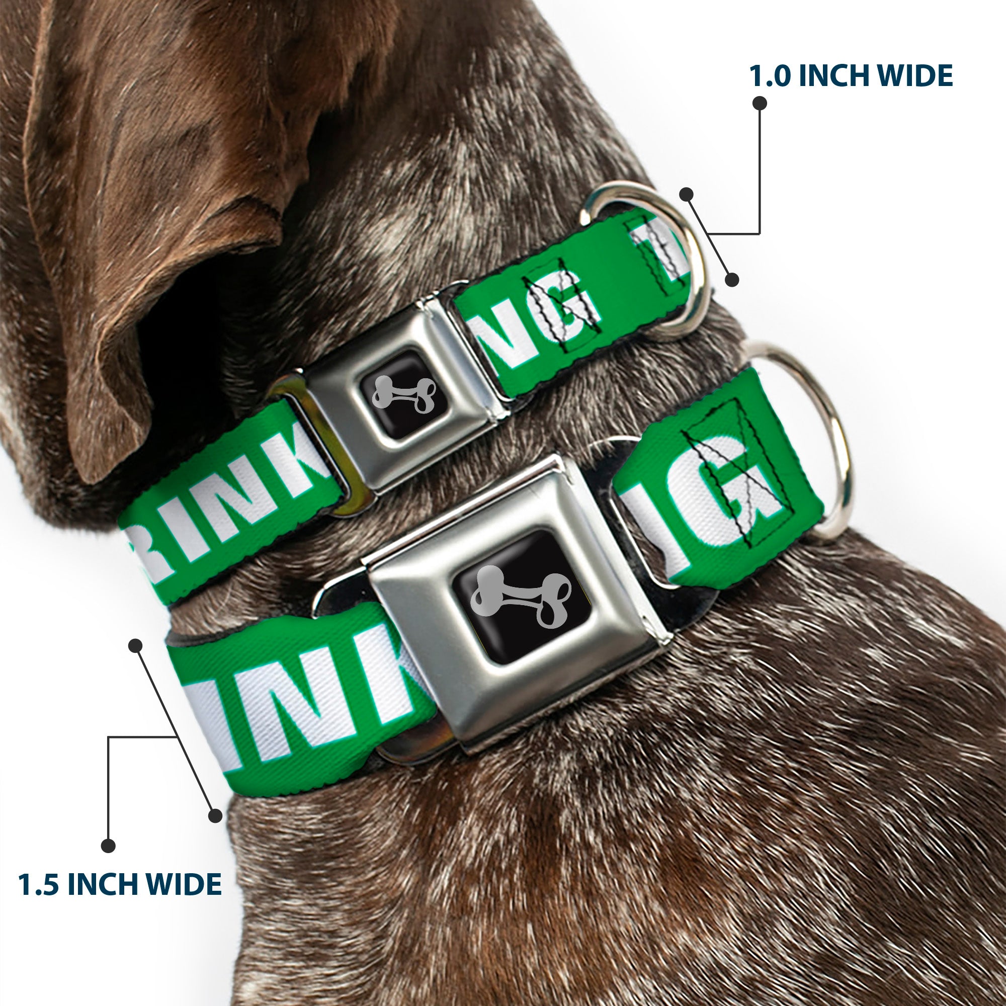Buckle-Down Seatbelt Buckle Dog Collar - IRISH DRINKING TEAM Green/White Seatbelt Buckle Collars Buckle-Down
