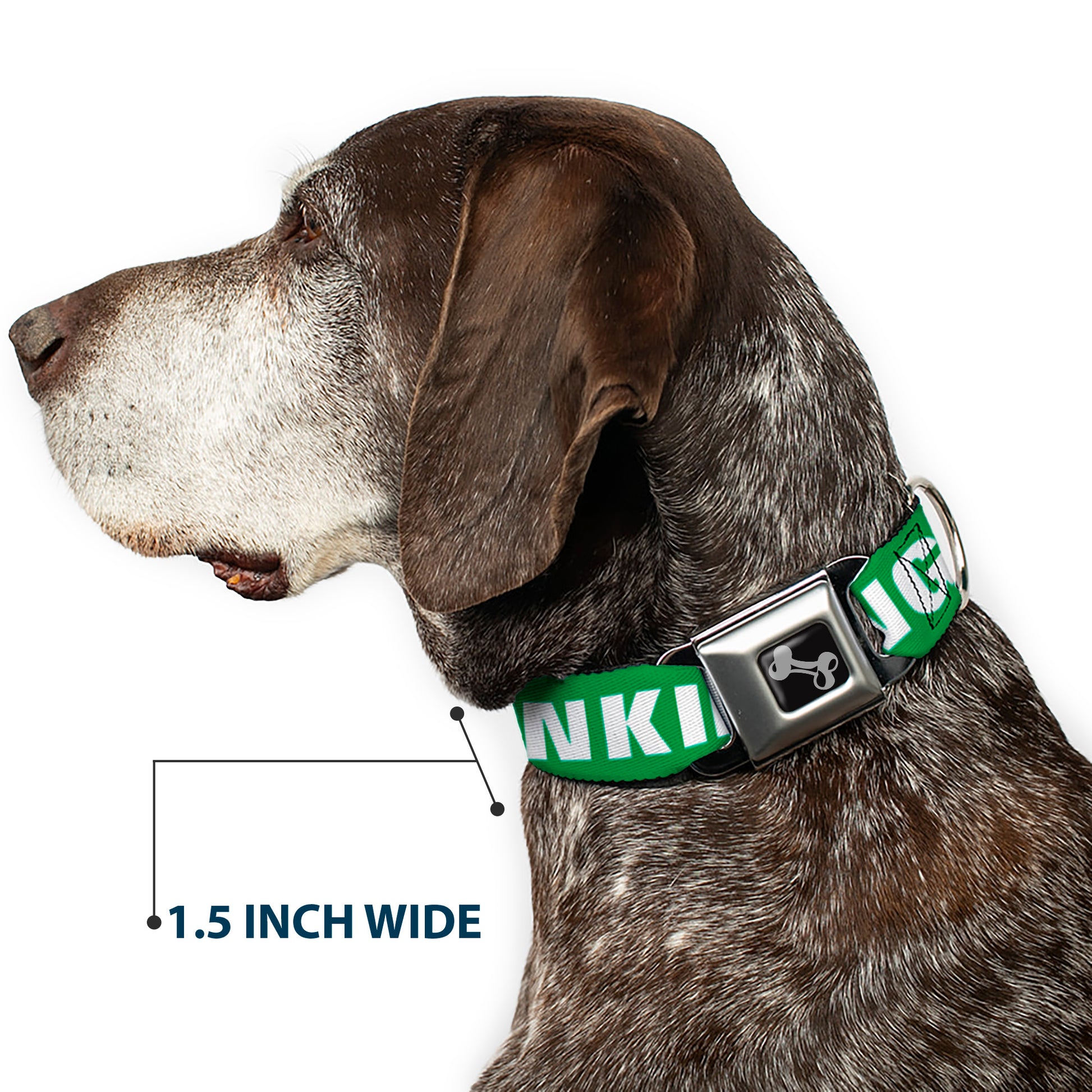 Buckle-Down Seatbelt Buckle Dog Collar - IRISH DRINKING TEAM Green/White Seatbelt Buckle Collars Buckle-Down