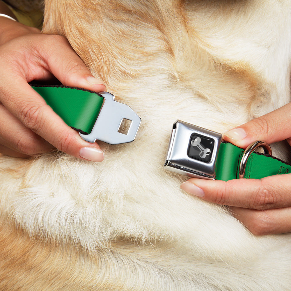 Buckle-Down Seatbelt Buckle Dog Collar - IRISH DRINKING TEAM Green/White Seatbelt Buckle Collars Buckle-Down