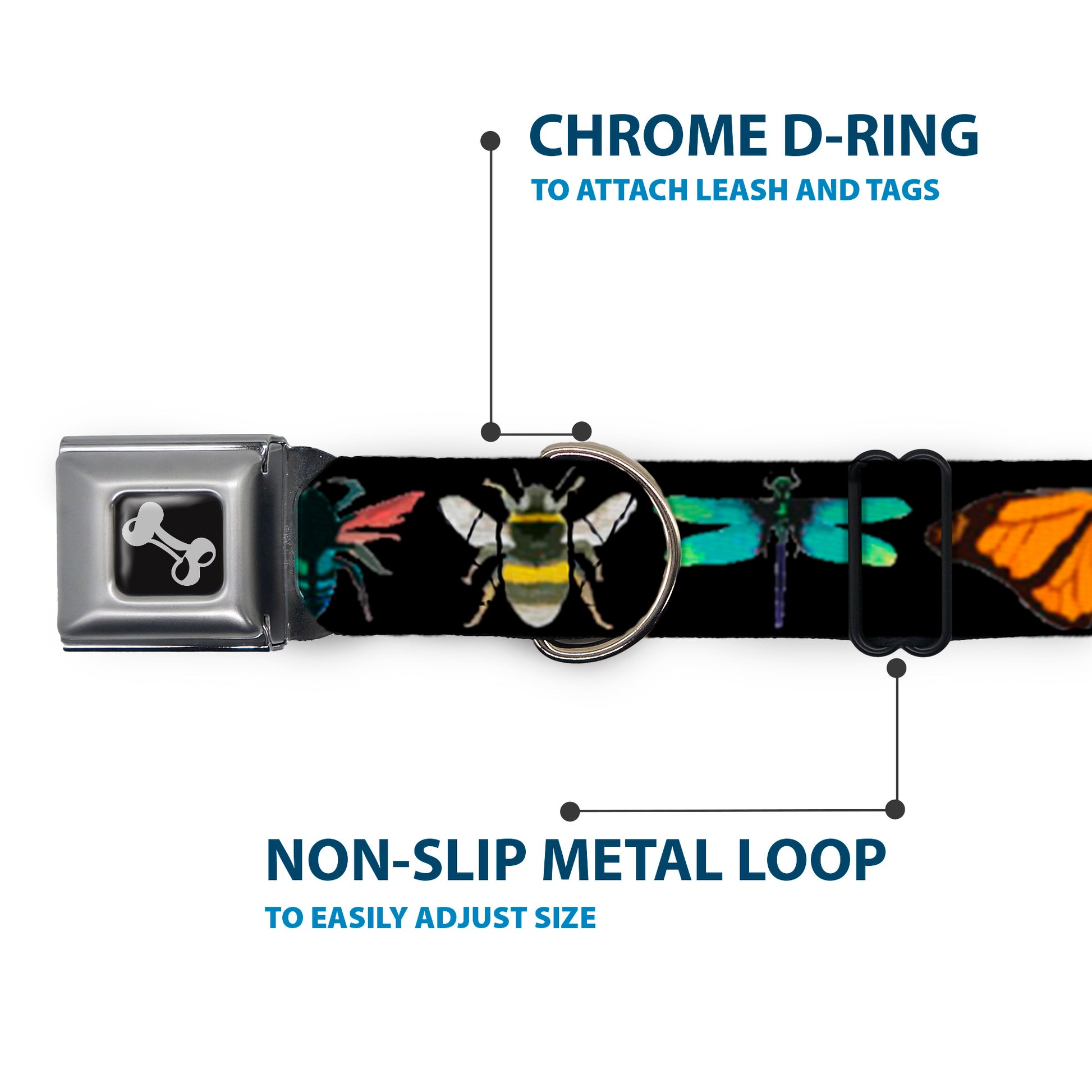 Dog Bone Seatbelt Buckle Collar - Insects CLOSE-UP Black Seatbelt Buckle Collars Buckle-Down