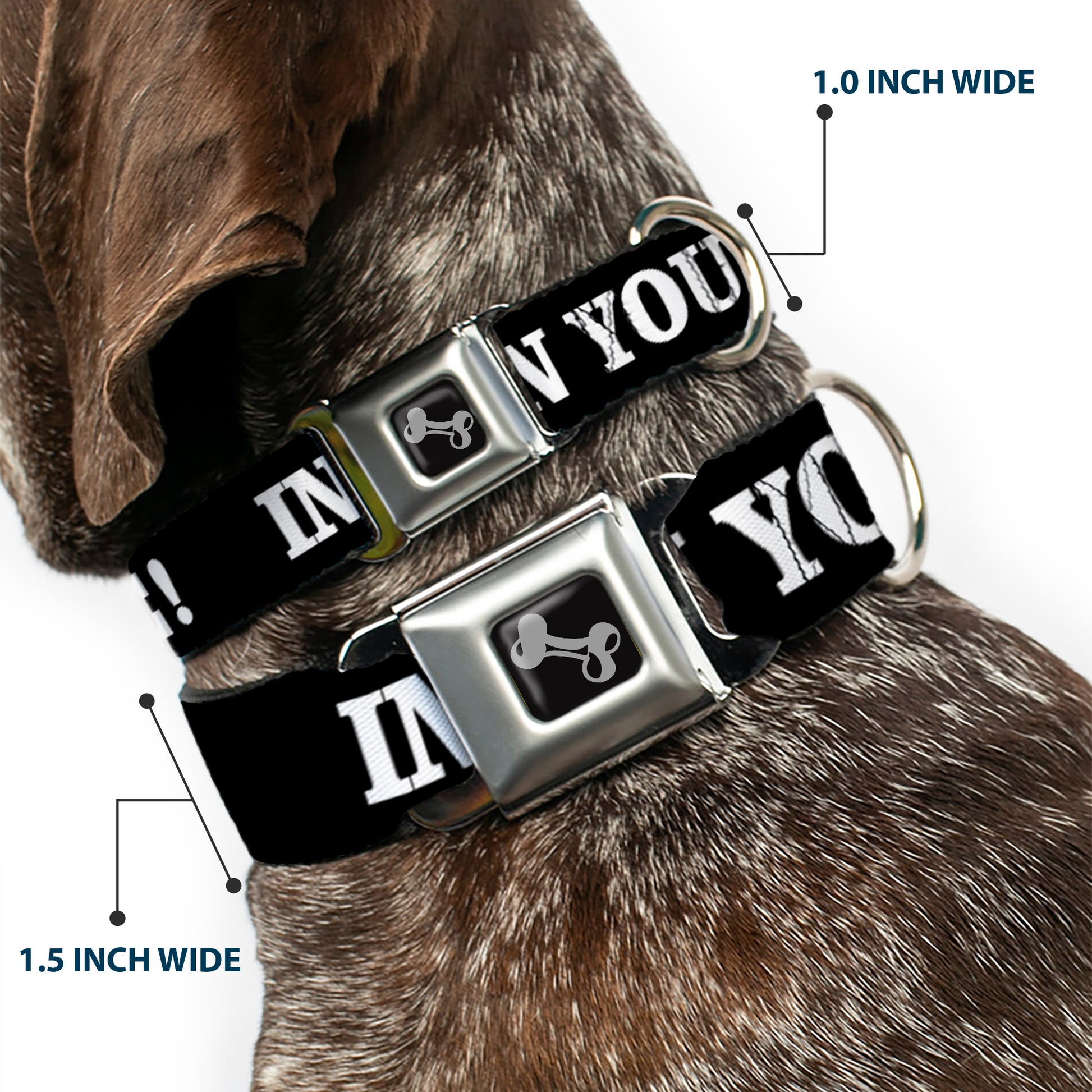 Dog Bone Seatbelt Buckle Collar - IN YOUR FACE Black/White Seatbelt Buckle Collars Buckle-Down