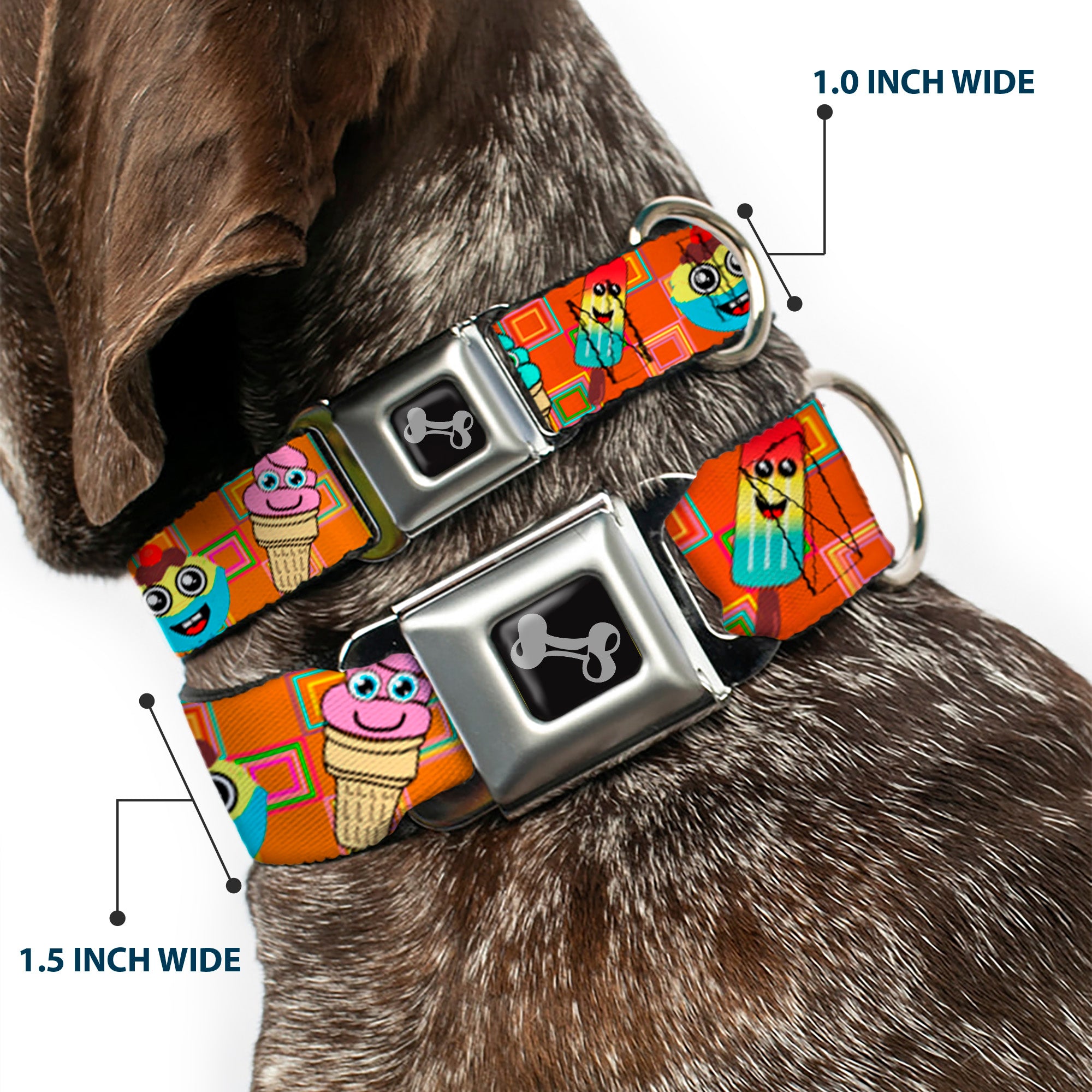 Dog Bone Seatbelt Buckle Collar - Ice Cream Cone & Popsicle Expressions/Squares Multi Color Seatbelt Buckle Collars Buckle-Down