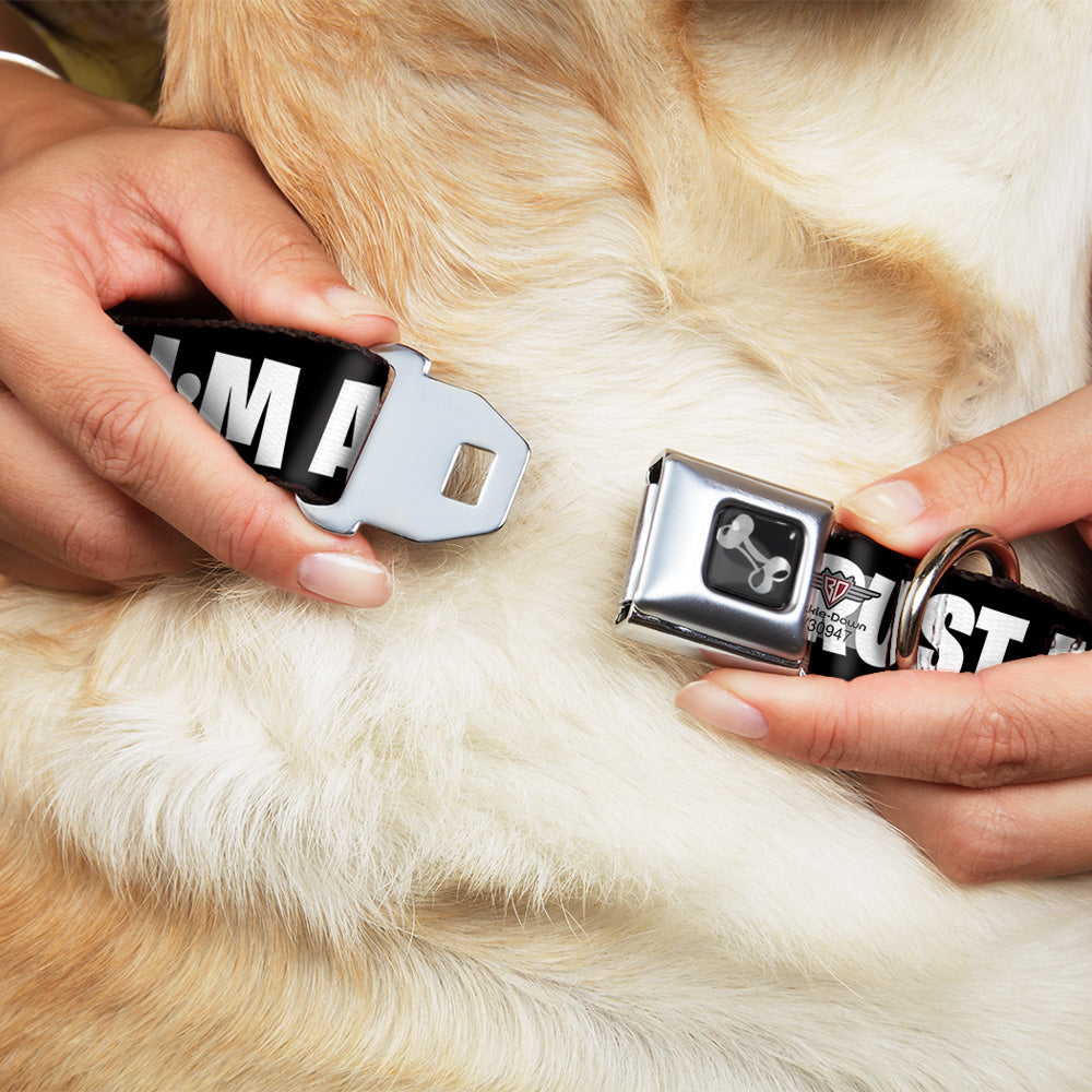 Dog Bone Seatbelt Buckle Collar - I'M A GEEK/Glasses Black/White Seatbelt Buckle Collars Buckle-Down