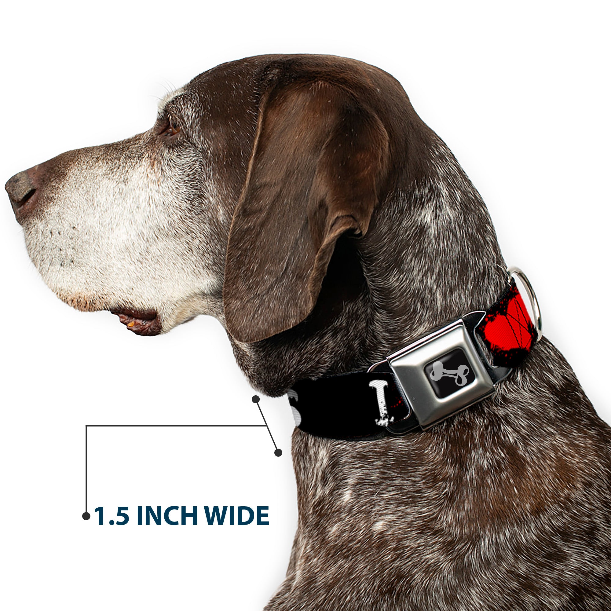 Dog Bone Seatbelt Buckle Collar - I "Heart" ZOMBIES Bloody Splatter Black/White/Red Seatbelt Buckle Collars Buckle-Down