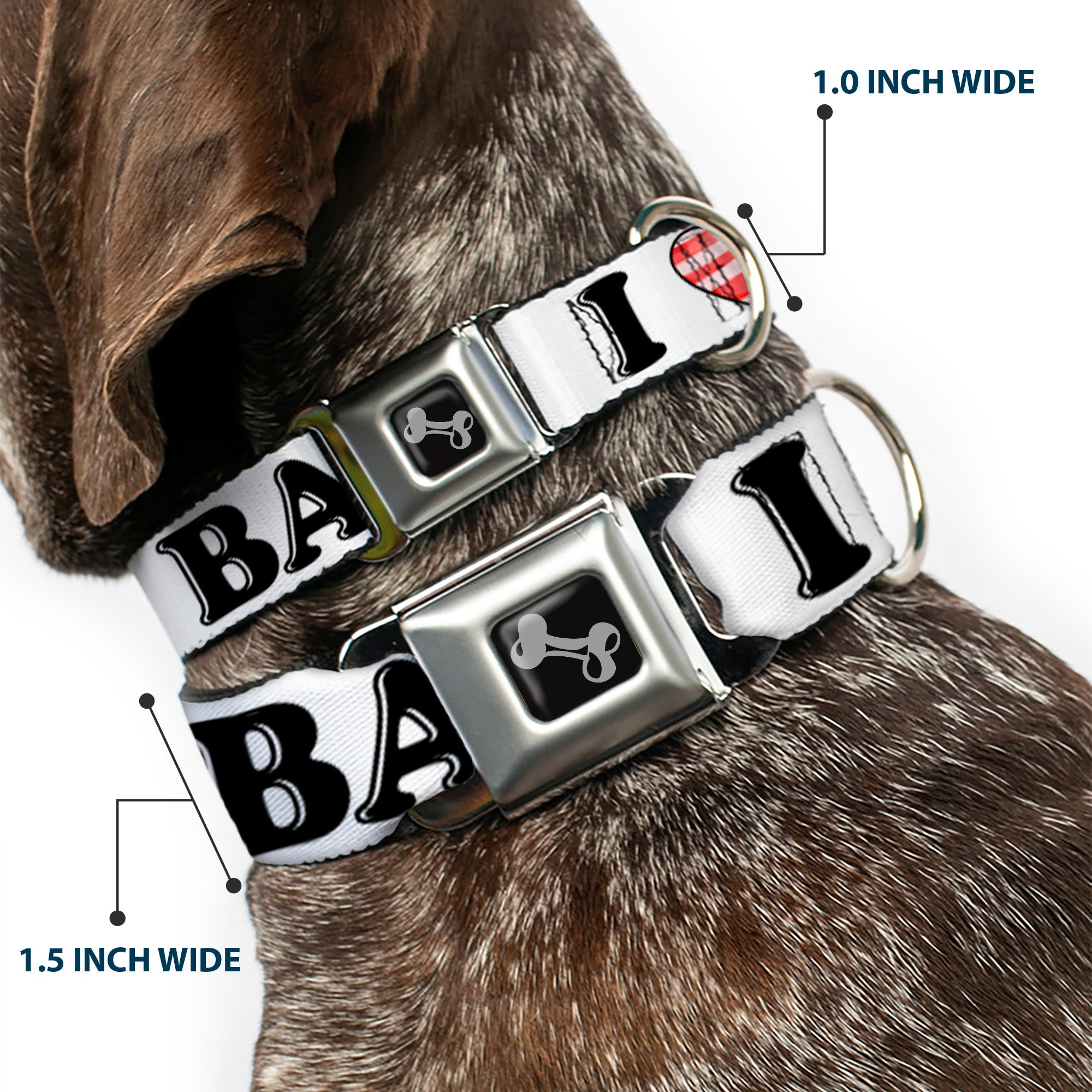 Dog Bone Seatbelt Buckle Collar - I "Heart" BACON White/Black/Bacon Seatbelt Buckle Collars Buckle-Down