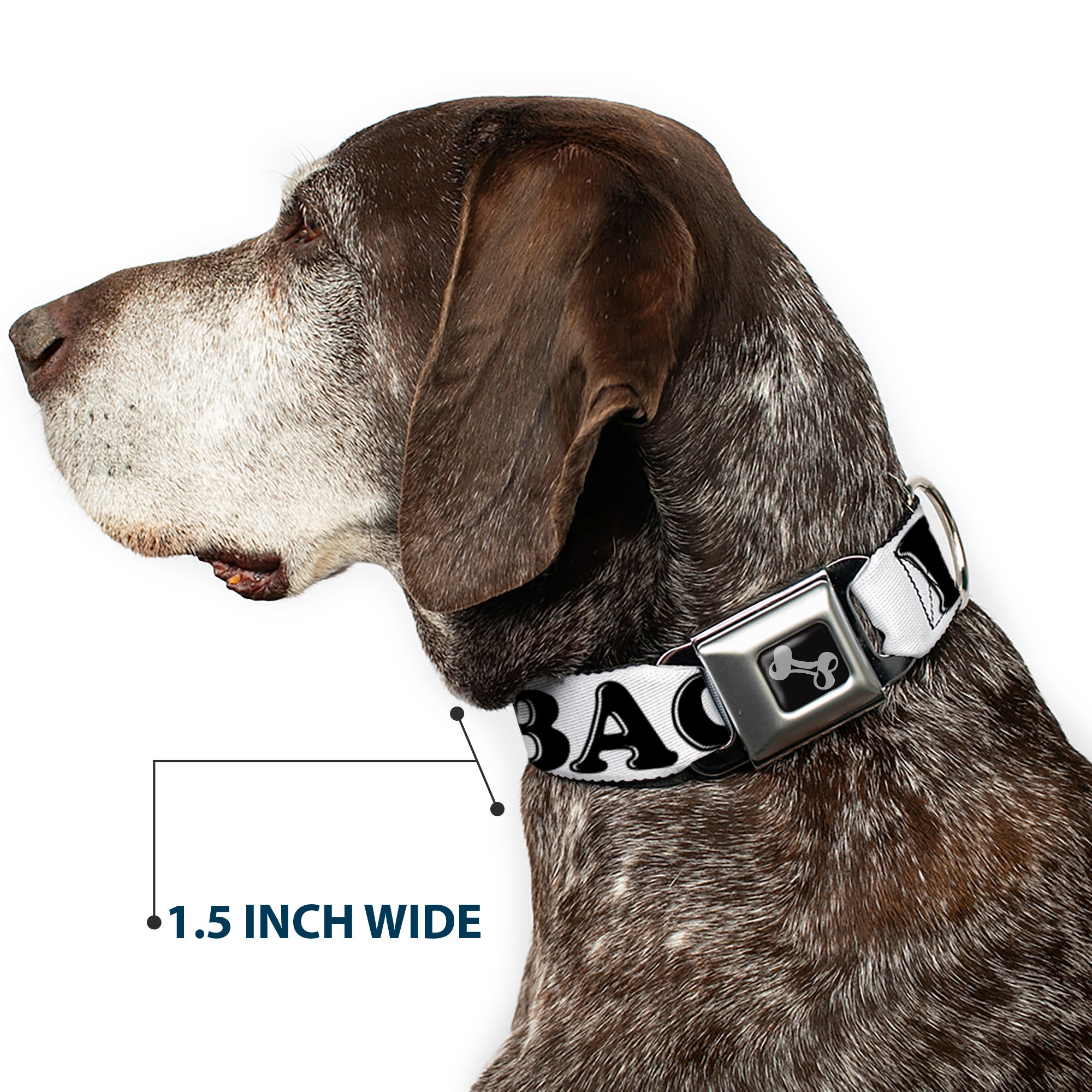 Dog Bone Seatbelt Buckle Collar - I "Heart" BACON White/Black/Bacon Seatbelt Buckle Collars Buckle-Down