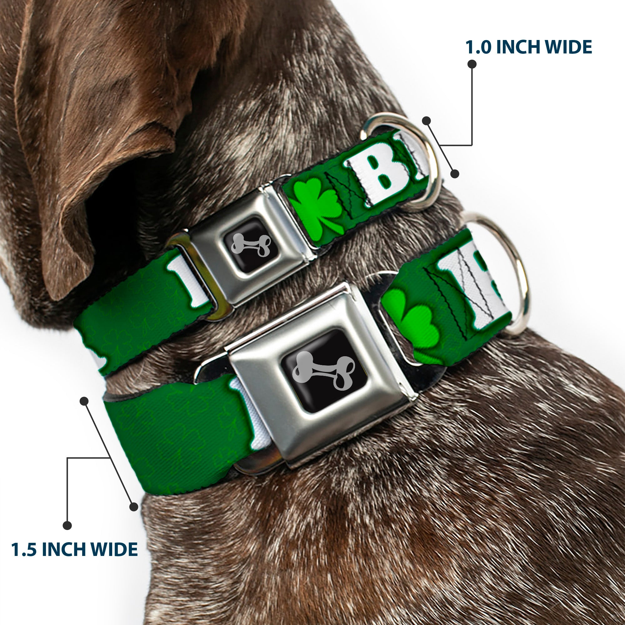 Buckle-Down Seatbelt Buckle Dog Collar - I "Clover" BEER/Clover Outlines Greens/White Seatbelt Buckle Collars Buckle-Down