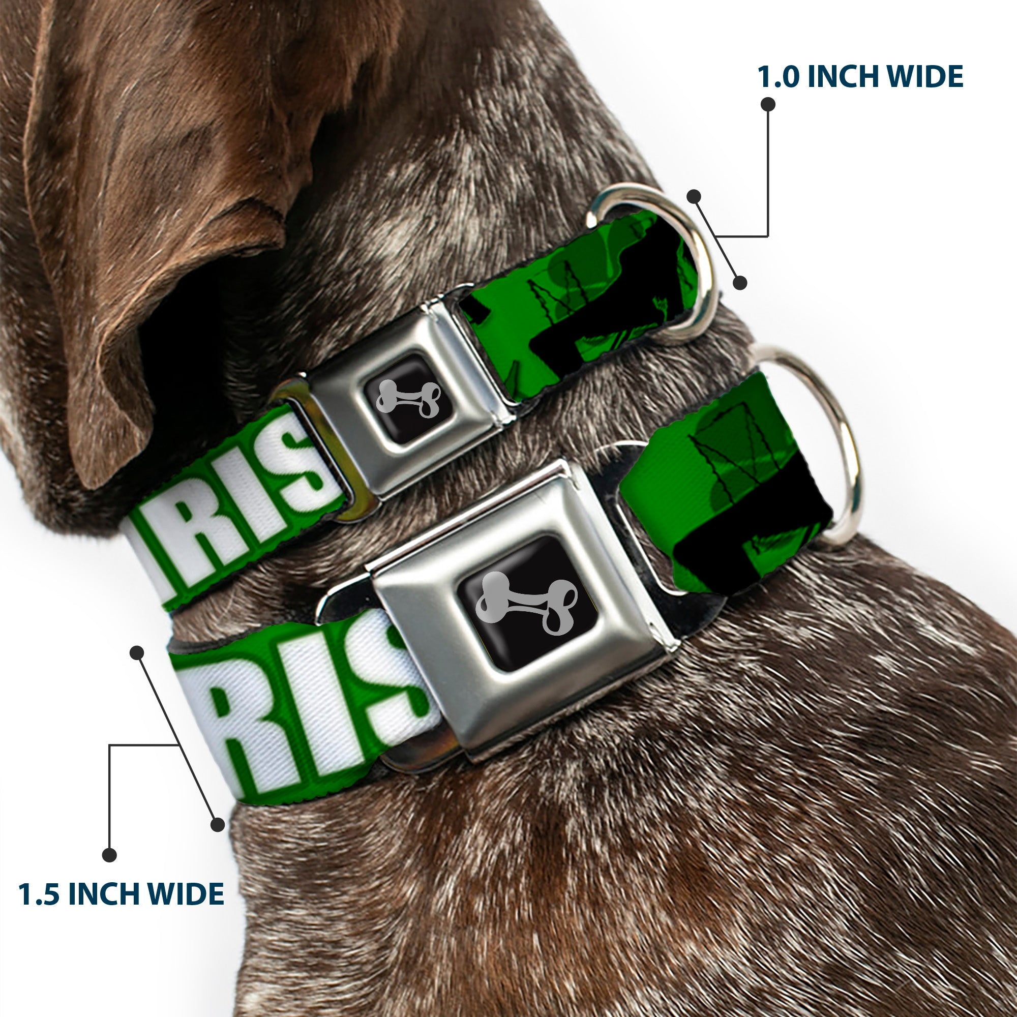 Buckle-Down Seatbelt Buckle Dog Collar - IRISH YOGA Poses/Clovers Greens/Black/White Seatbelt Buckle Collars Buckle-Down