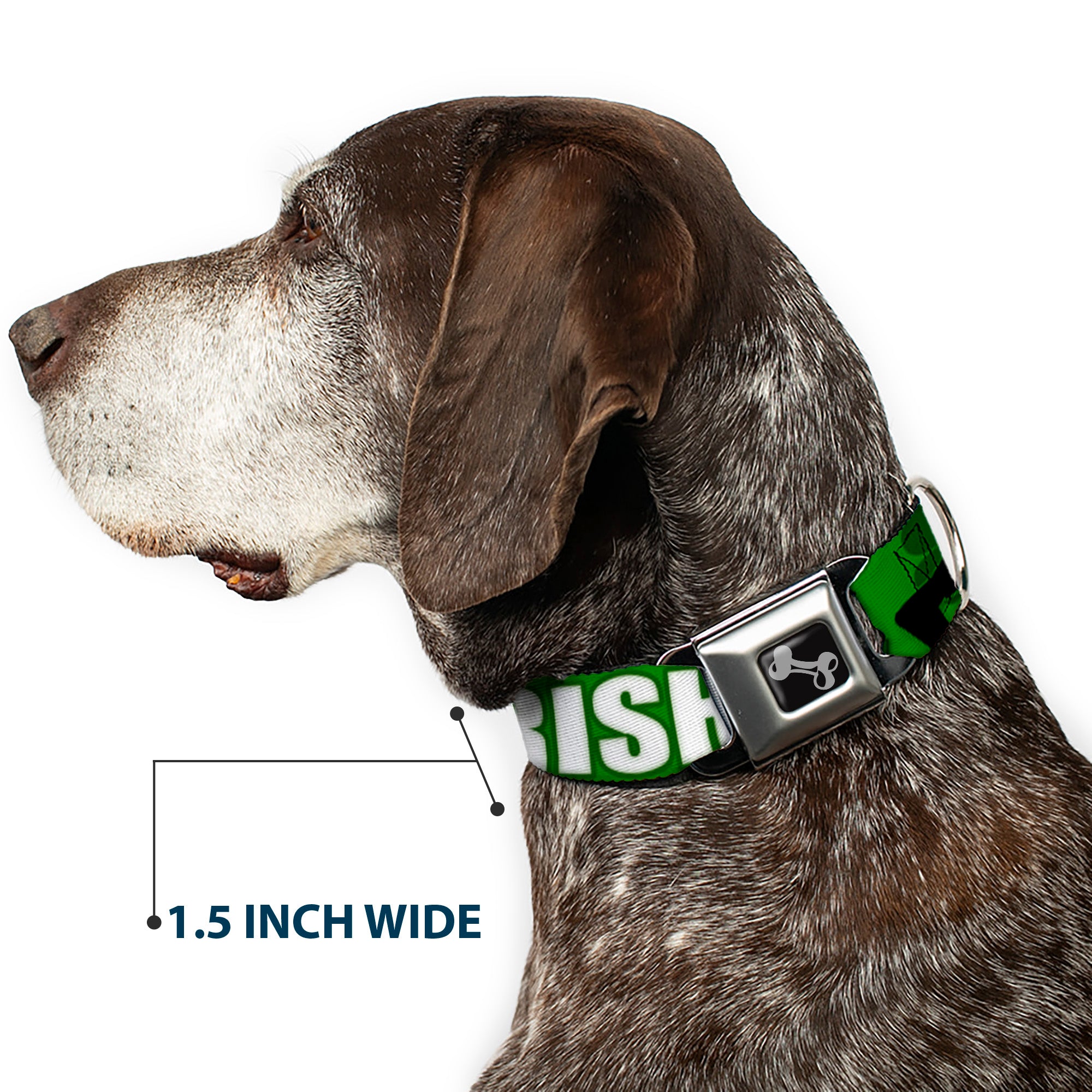 Buckle-Down Seatbelt Buckle Dog Collar - IRISH YOGA Poses/Clovers Greens/Black/White Seatbelt Buckle Collars Buckle-Down