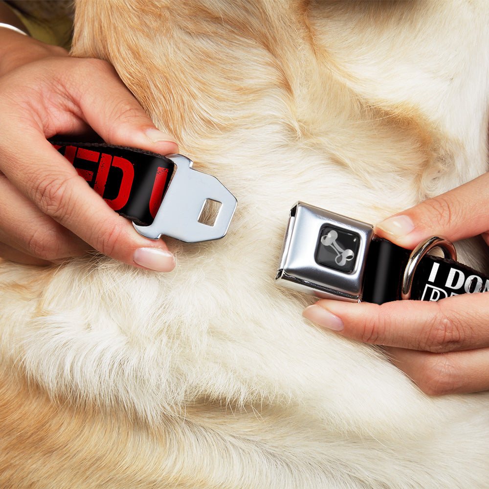 Buckle-Down Seatbelt Buckle Dog Collar - I DON'T ALWAYS DRINK BUT WHEN I DO I GET FUCKED UP Black/White/Red Seatbelt Buckle Collars Buckle-Down