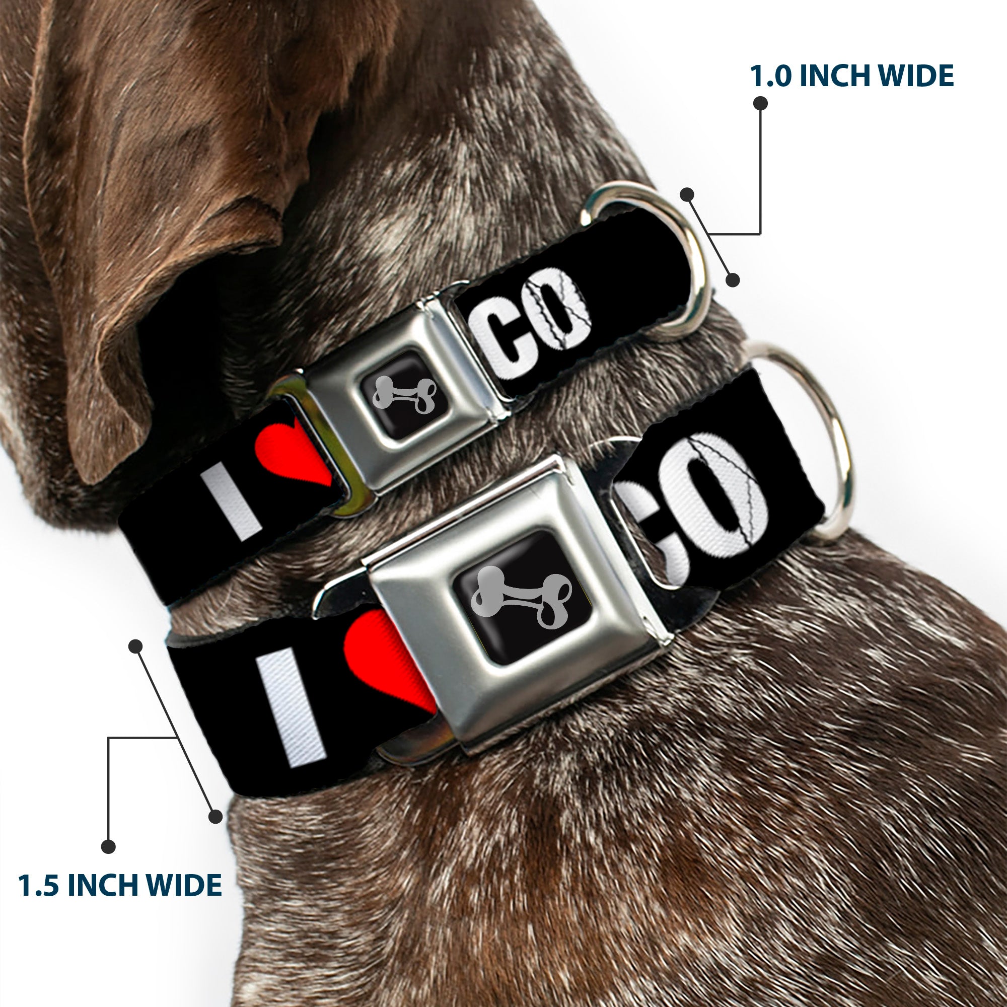 Dog Bone Seatbelt Buckle Collar - I "HEART" SAN FRANCISCO Black/White/Red Seatbelt Buckle Collars Buckle-Down