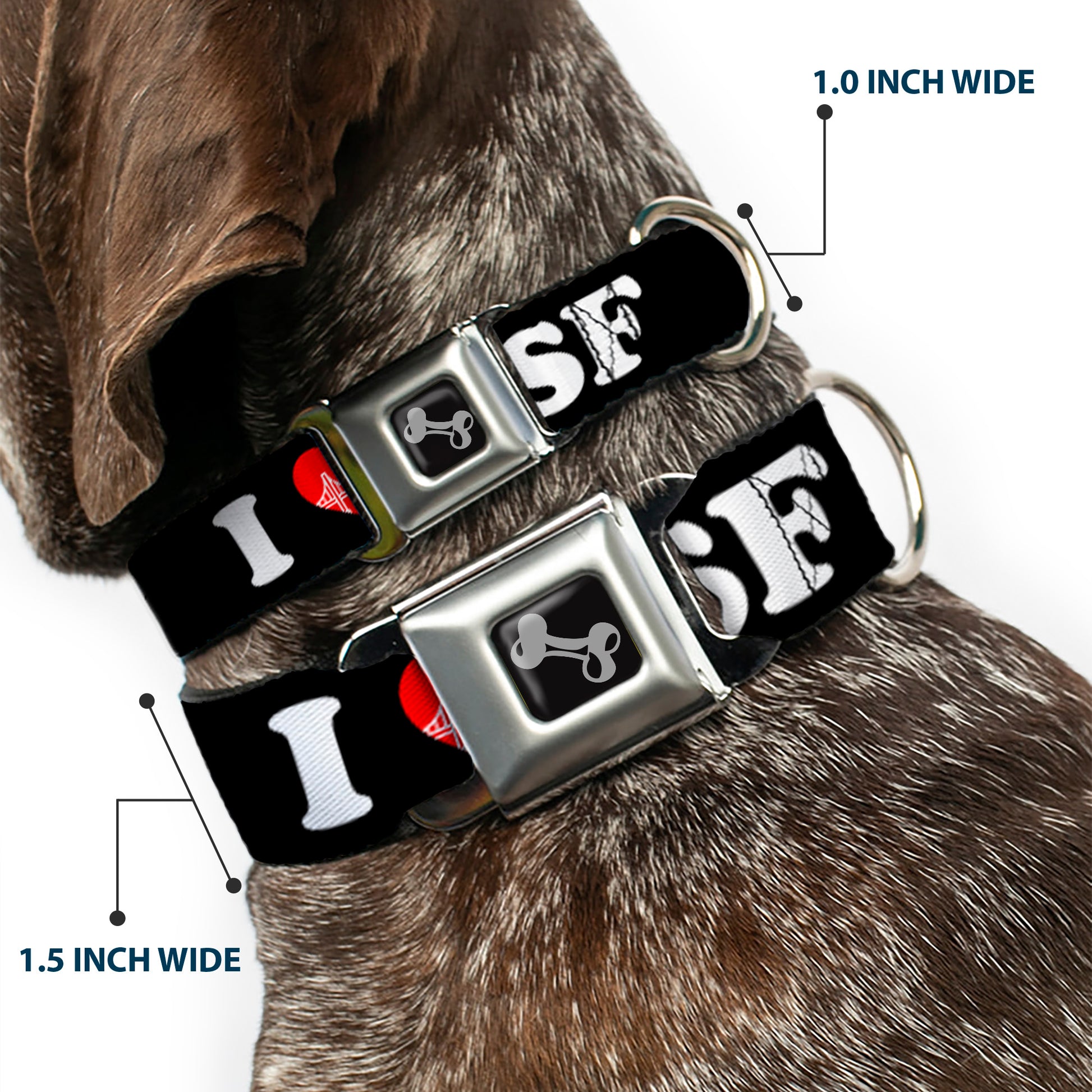 Dog Bone Seatbelt Buckle Collar - I "HEART BRIDGE" SF Black/White/Red Seatbelt Buckle Collars Buckle-Down