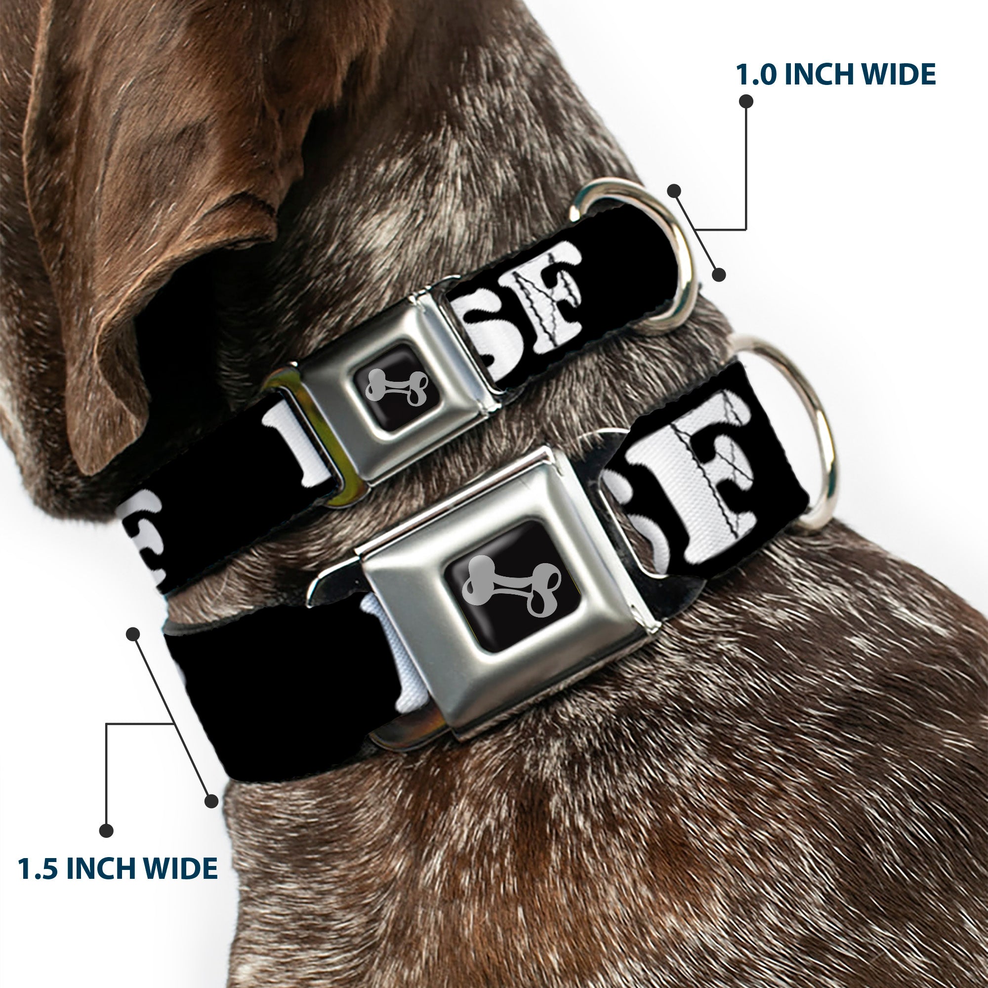 Dog Bone Seatbelt Buckle Collar - I "HEART BRIDGE" SF Black/White/Rainbow Seatbelt Buckle Collars Buckle-Down