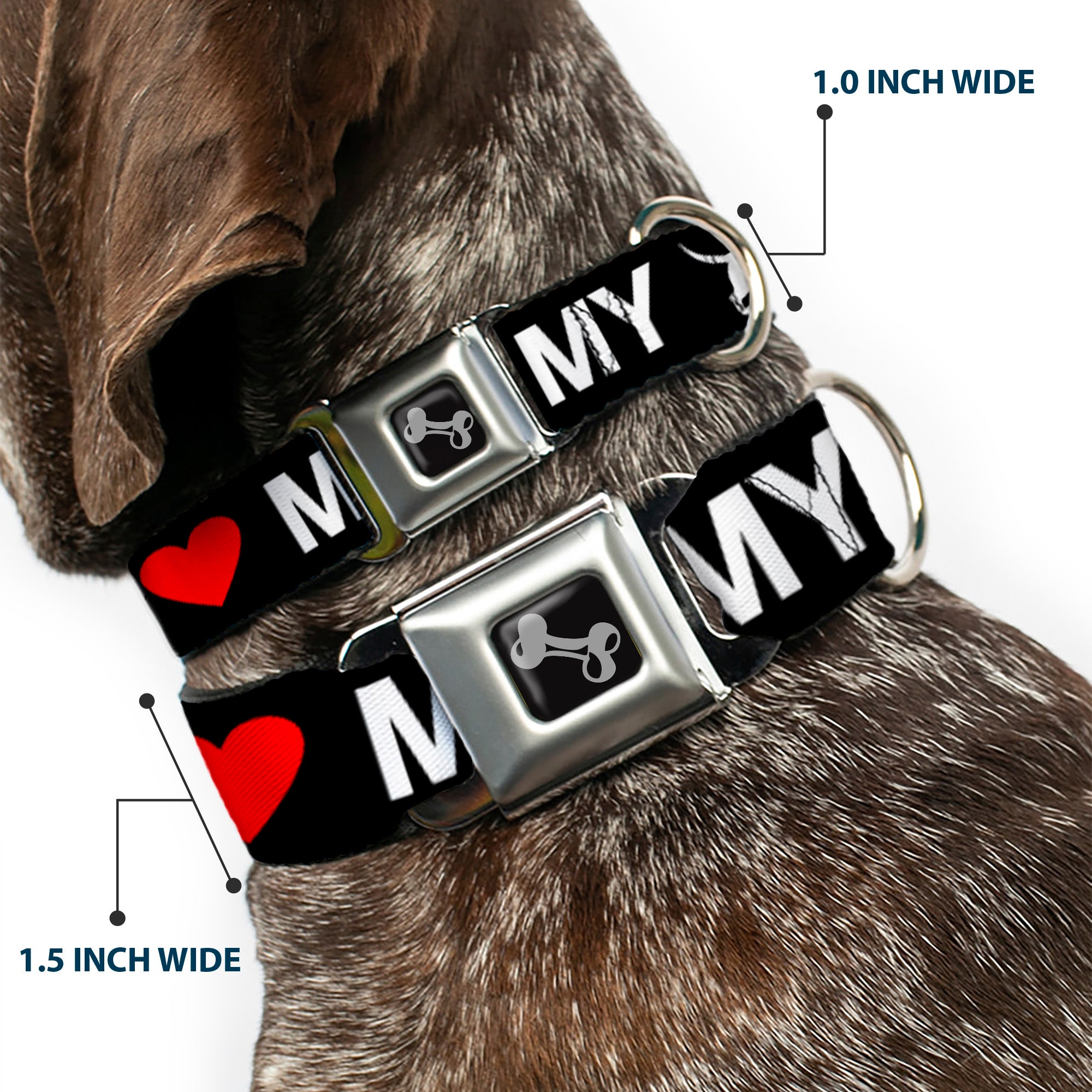 Dog Bone Seatbelt Buckle Collar - I "HEART" MY "WIENER" Dog Silhouette Black/White/Red Seatbelt Buckle Collars Buckle-Down