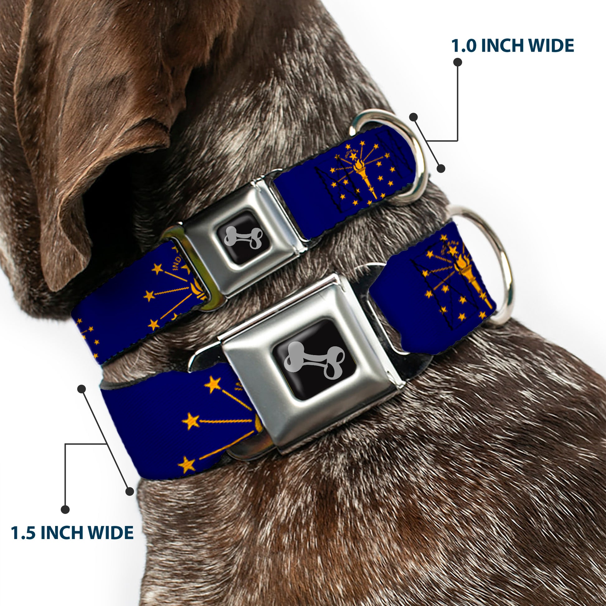Dog Bone Black/Silver Seatbelt Buckle Collar - Indiana Flag/Torch CLOSE-UP Navy Blue/Gold Seatbelt Buckle Collars Buckle-Down