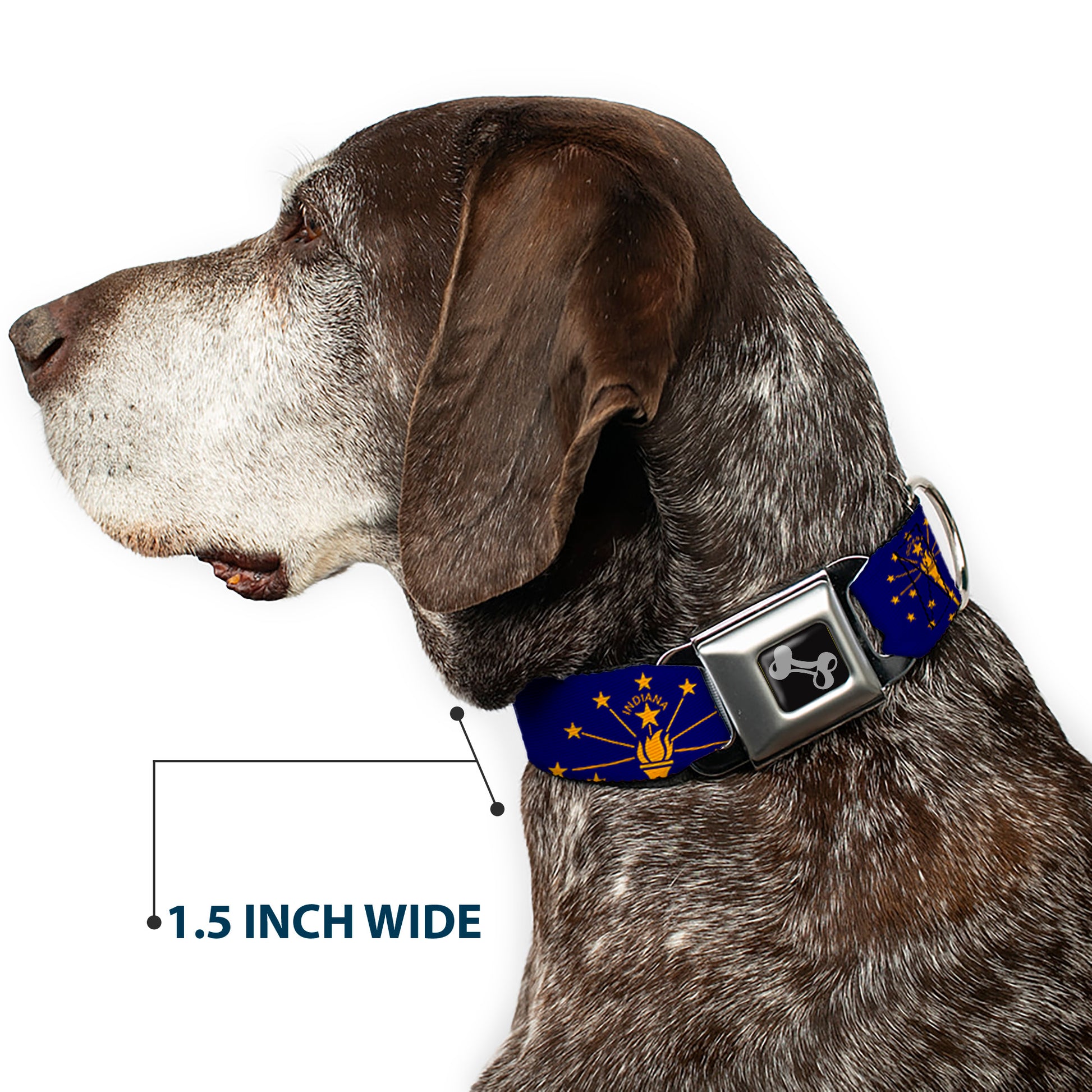 Dog Bone Black/Silver Seatbelt Buckle Collar - Indiana Flag/Torch CLOSE-UP Navy Blue/Gold Seatbelt Buckle Collars Buckle-Down