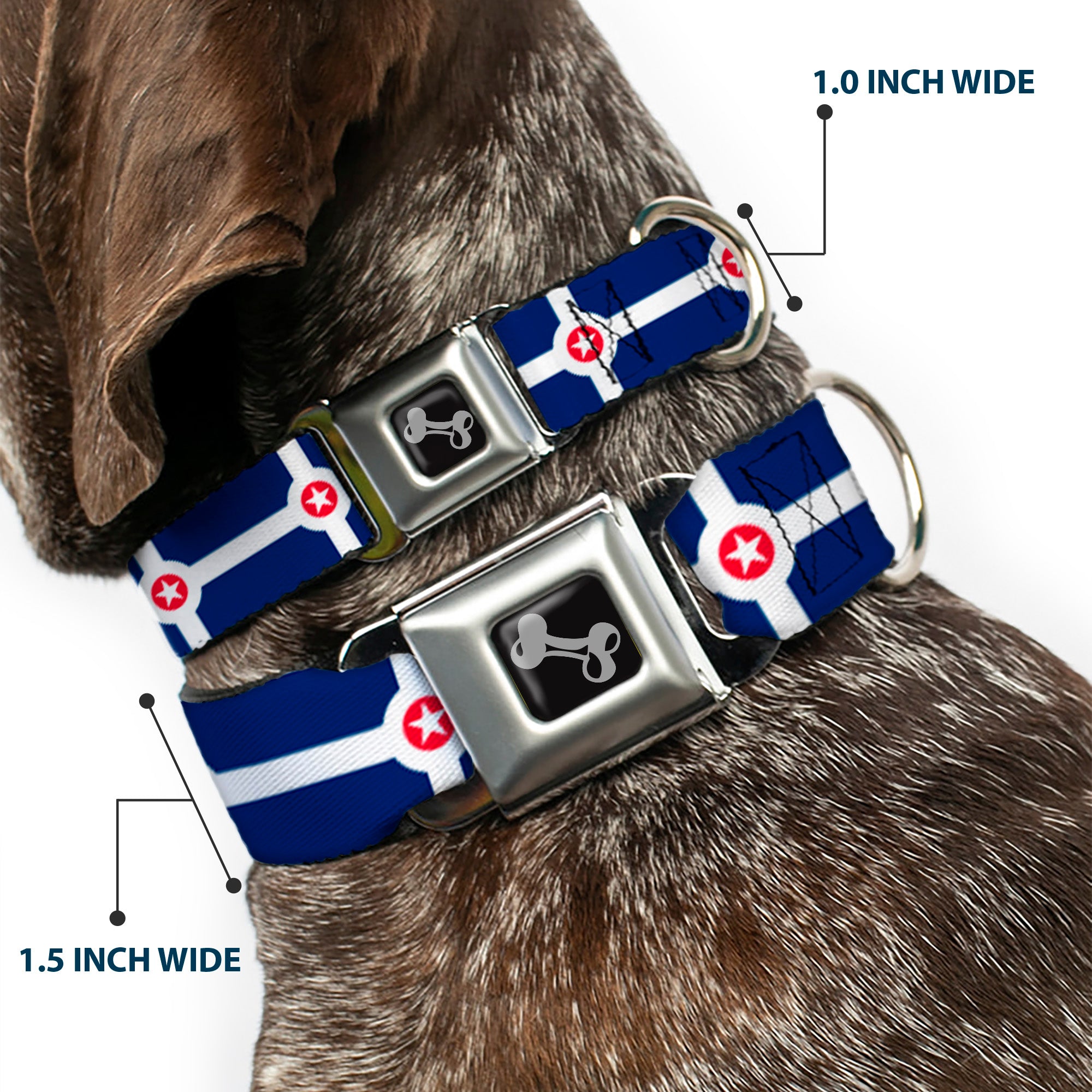 Dog Bone Black/Silver Seatbelt Buckle Collar - Indianapolis Flag Navy Blue/White/Red Seatbelt Buckle Collars Buckle-Down