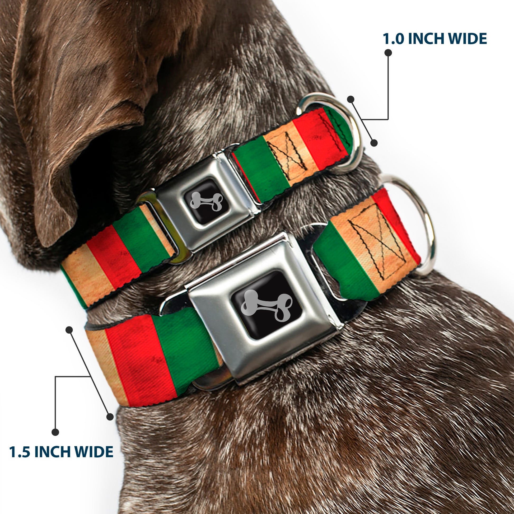 Dog Bone Black/Silver Seatbelt Buckle Collar - Italy Flag Continuous Vintage Seatbelt Buckle Collars Buckle-Down
