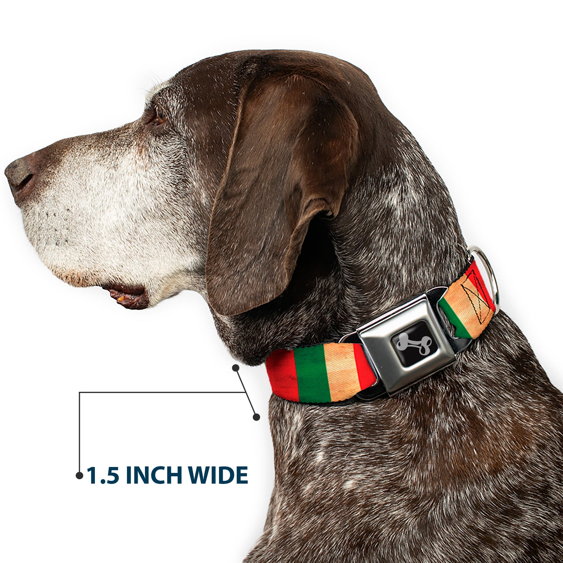 Dog Bone Black/Silver Seatbelt Buckle Collar - Italy Flag Continuous Vintage Seatbelt Buckle Collars Buckle-Down