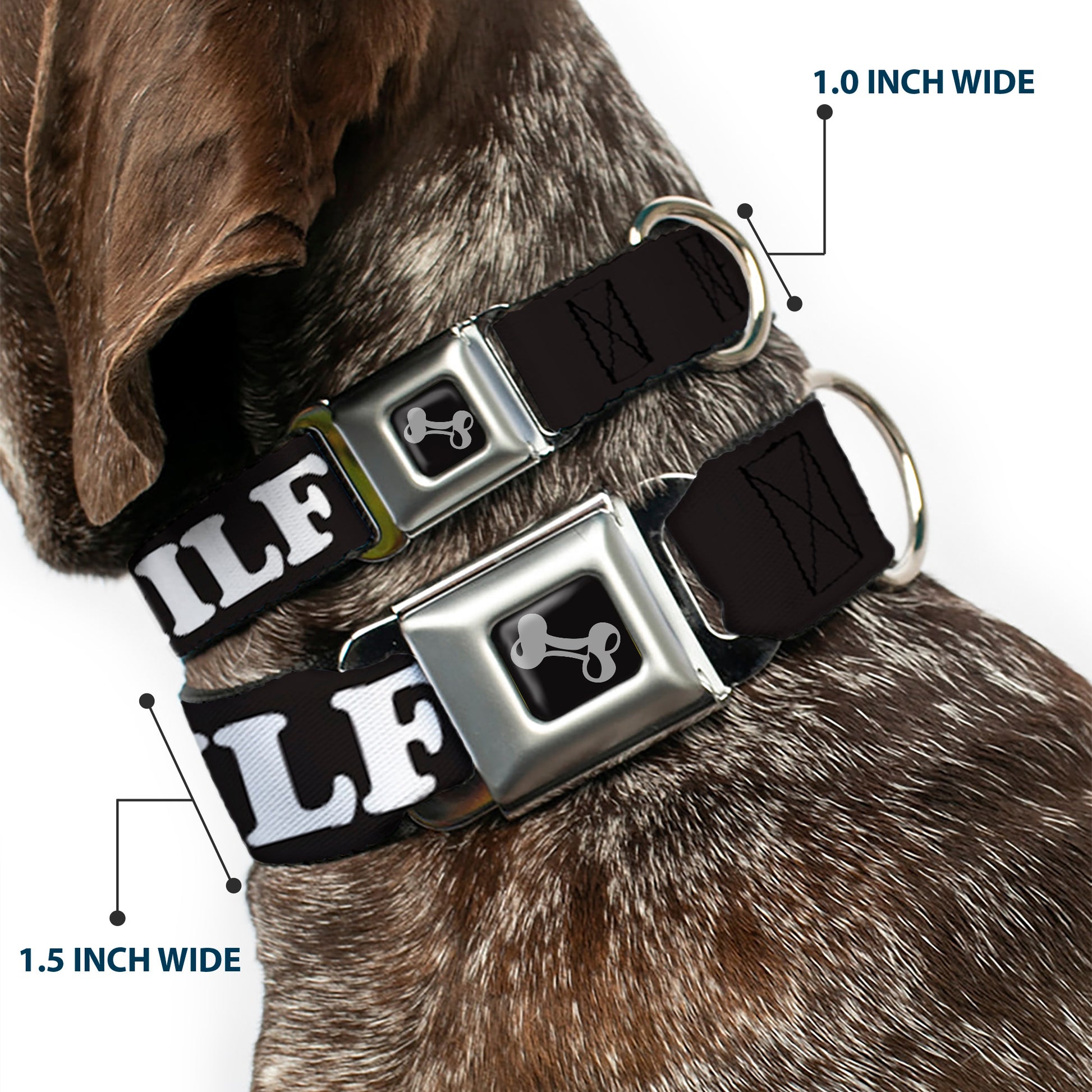 Dog Bone Black/Silver Seatbelt Buckle Collar - I "HEART" MILFS Black/White/Red Seatbelt Buckle Collars Buckle-Down