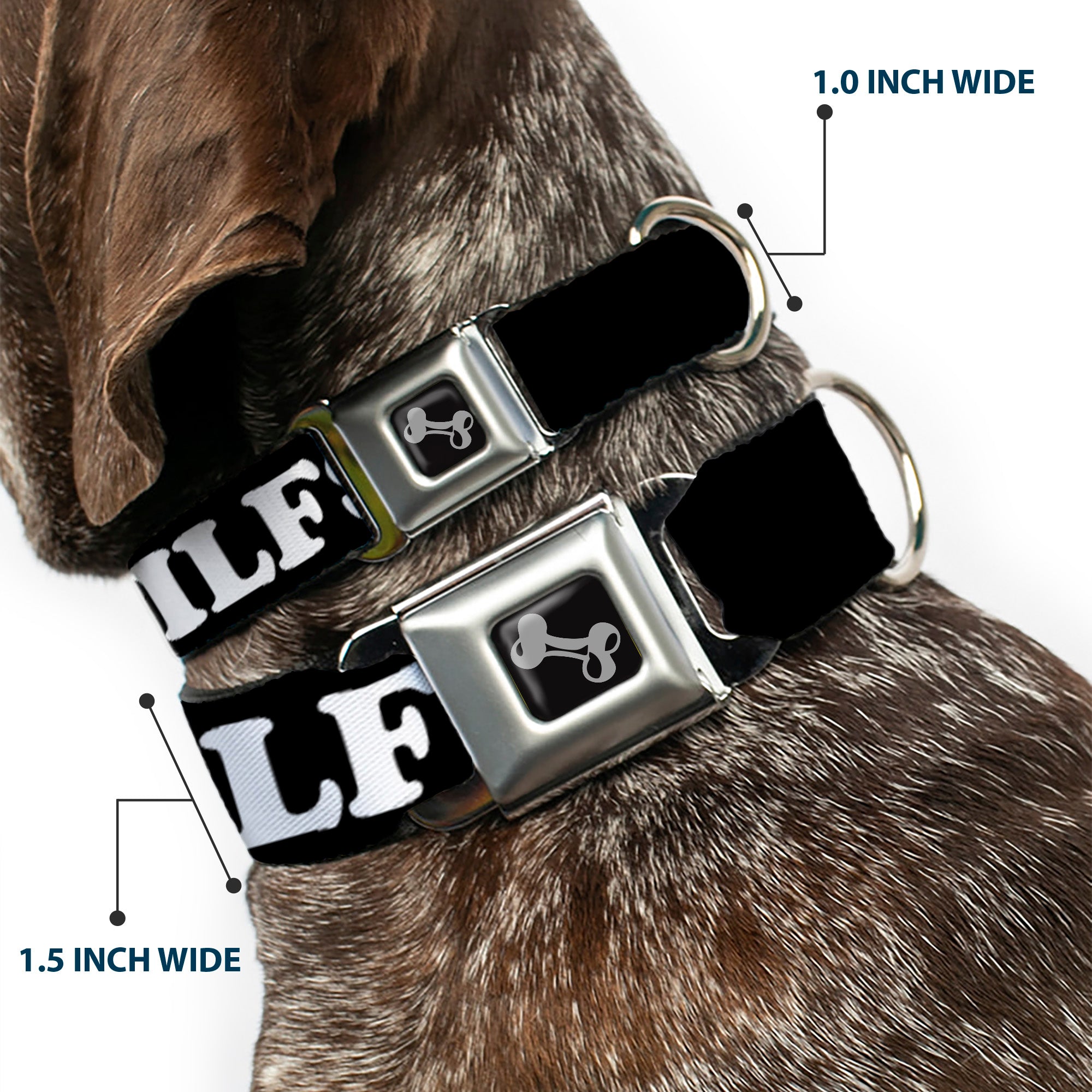Dog Bone Black/Silver Seatbelt Buckle Collar - I "HEART" DILFS Black/White/Red Seatbelt Buckle Collars Buckle-Down