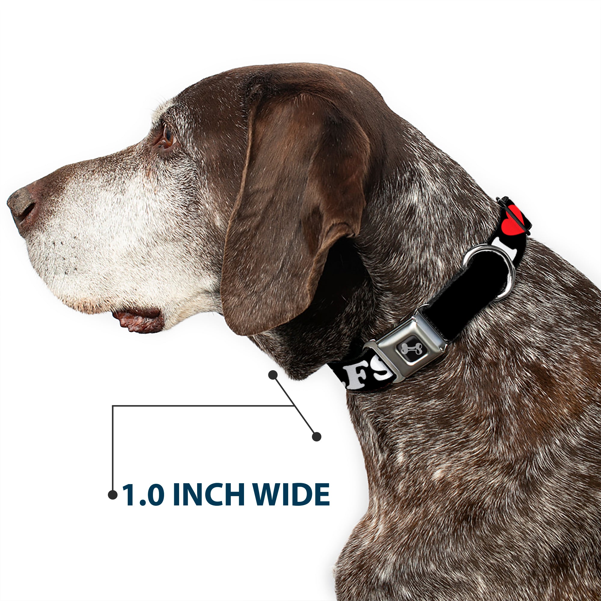 Dog Bone Black/Silver Seatbelt Buckle Collar - I "HEART" DILFS Black/White/Red Seatbelt Buckle Collars Buckle-Down