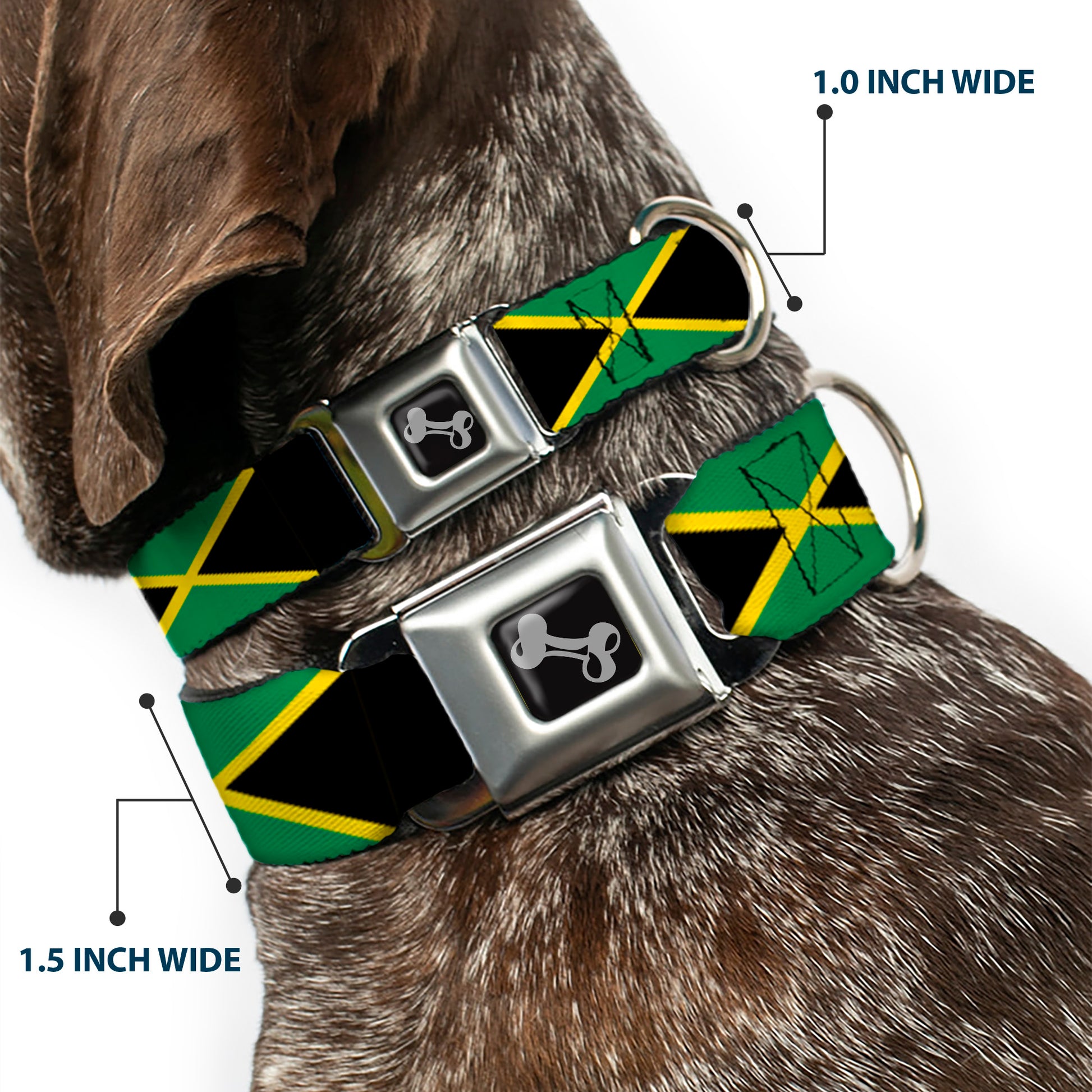 Dog Bone Seatbelt Buckle Collar - Jamaica Flags Seatbelt Buckle Collars Buckle-Down