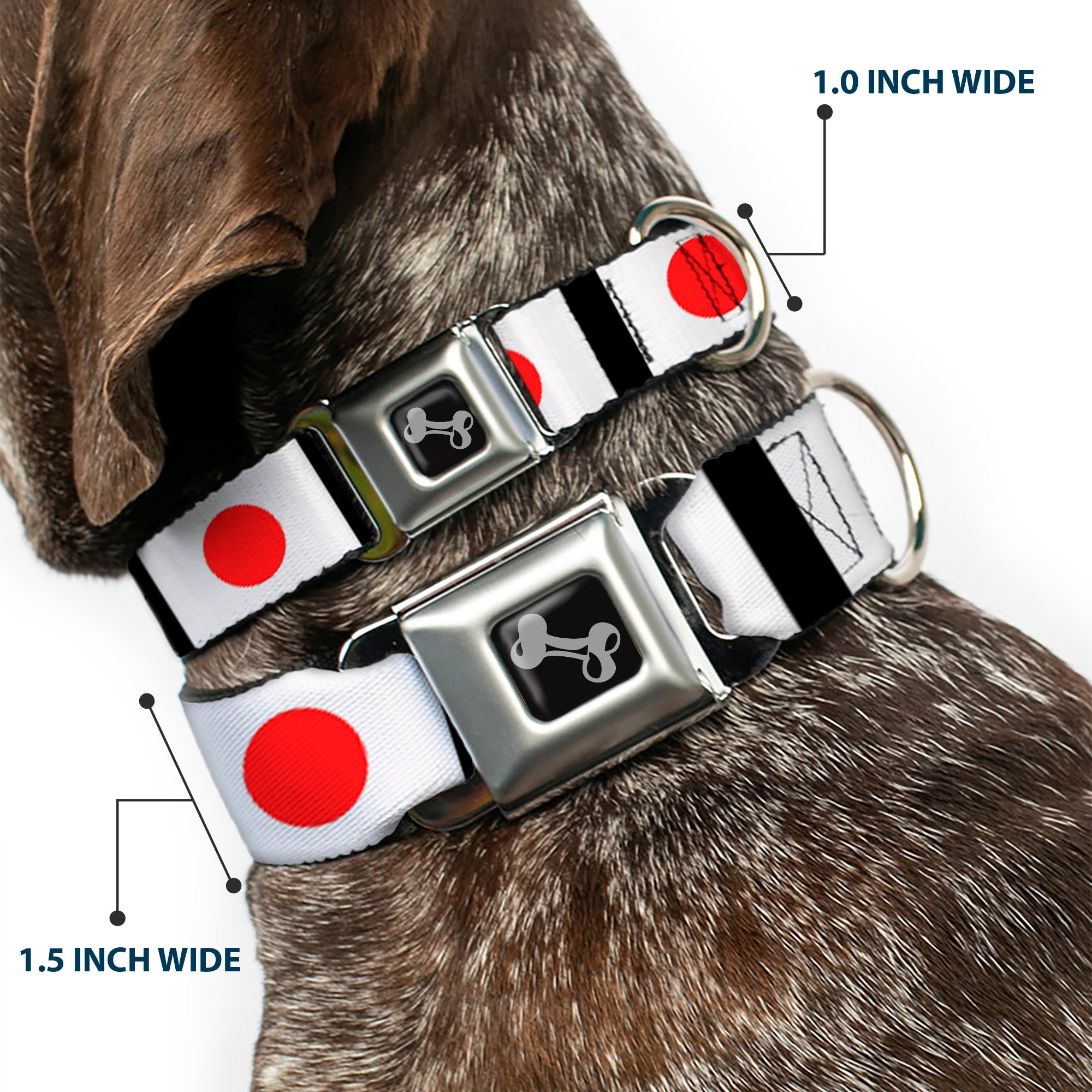 Dog Bone Seatbelt Buckle Collar - Japan Flags Seatbelt Buckle Collars Buckle-Down