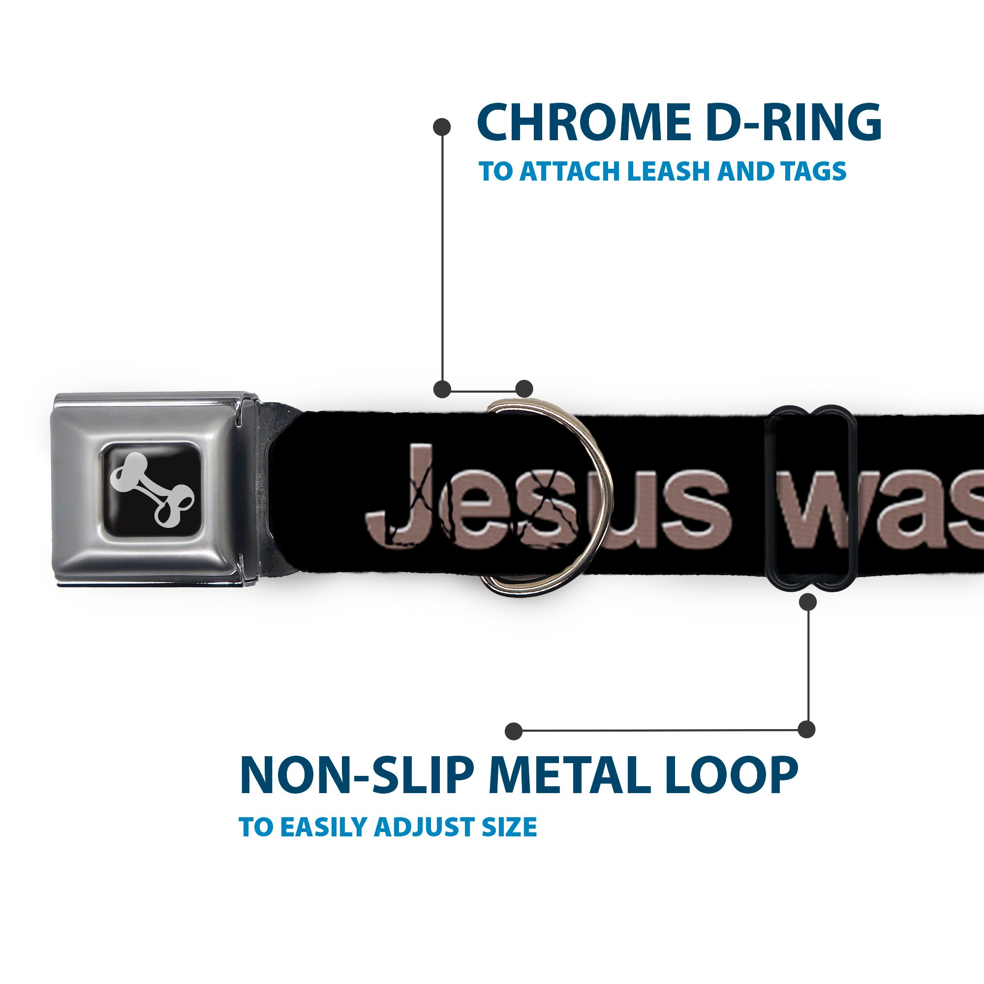 Buckle-Down Seatbelt Buckle Dog Collar - JESUS WAS A JEW Black/Gray Seatbelt Buckle Collars Buckle-Down