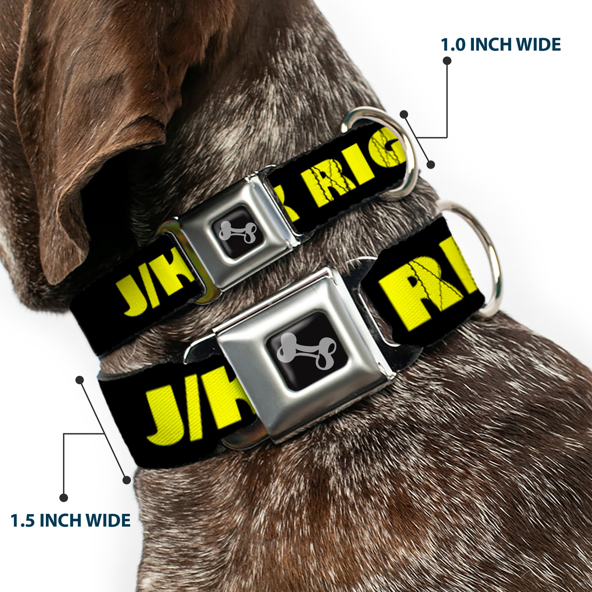 Dog Bone Seatbelt Buckle Collar - J/K RIGHT? Black/Yellow Seatbelt Buckle Collars Buckle-Down