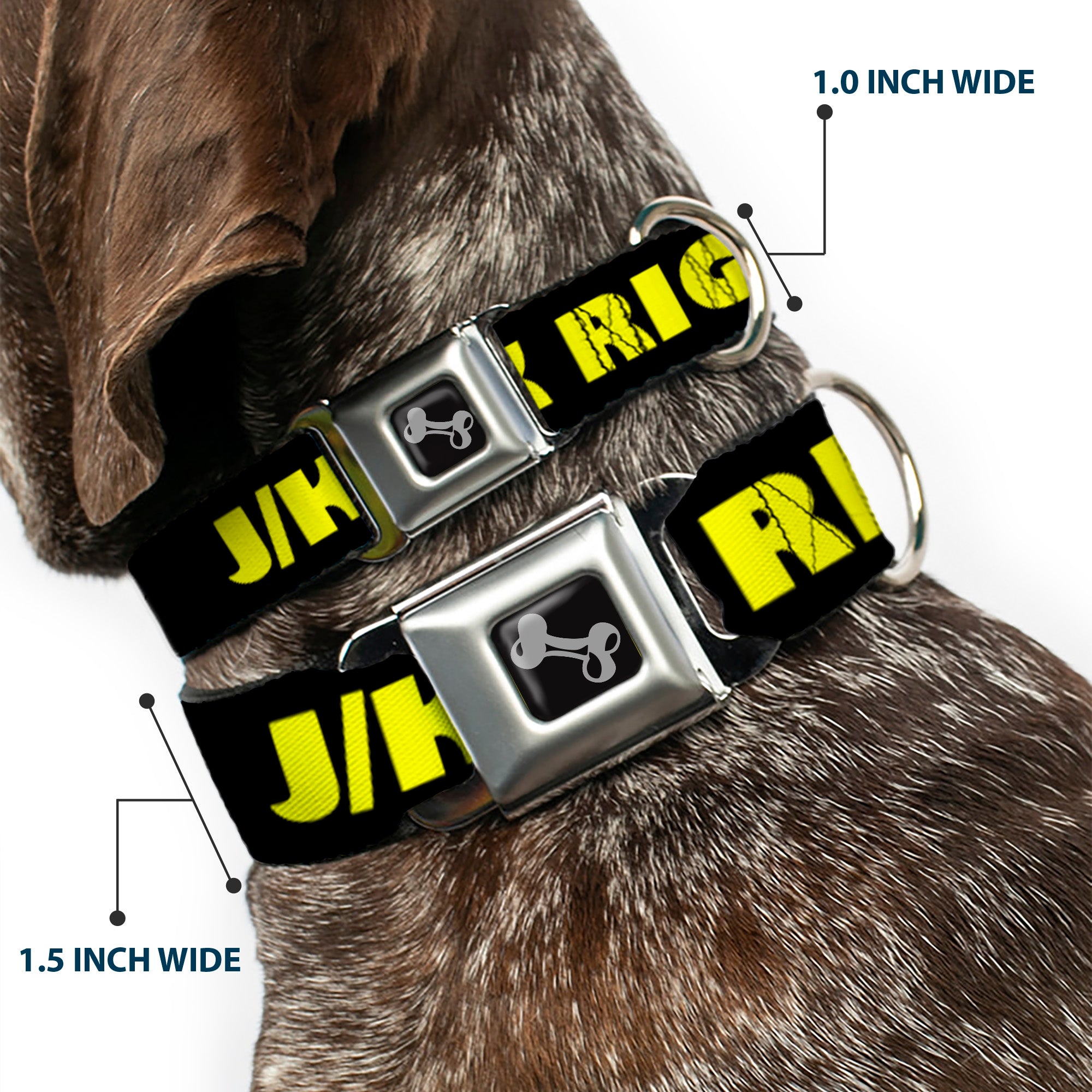 Dog Bone Seatbelt Buckle Collar - J/K RIGHT? Black/Yellow Seatbelt Buckle Collars Buckle-Down