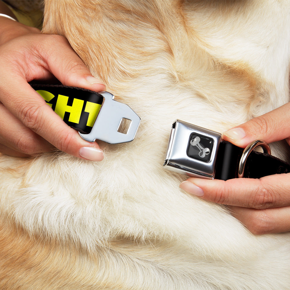 Dog Bone Seatbelt Buckle Collar - J/K RIGHT? Black/Yellow Seatbelt Buckle Collars Buckle-Down