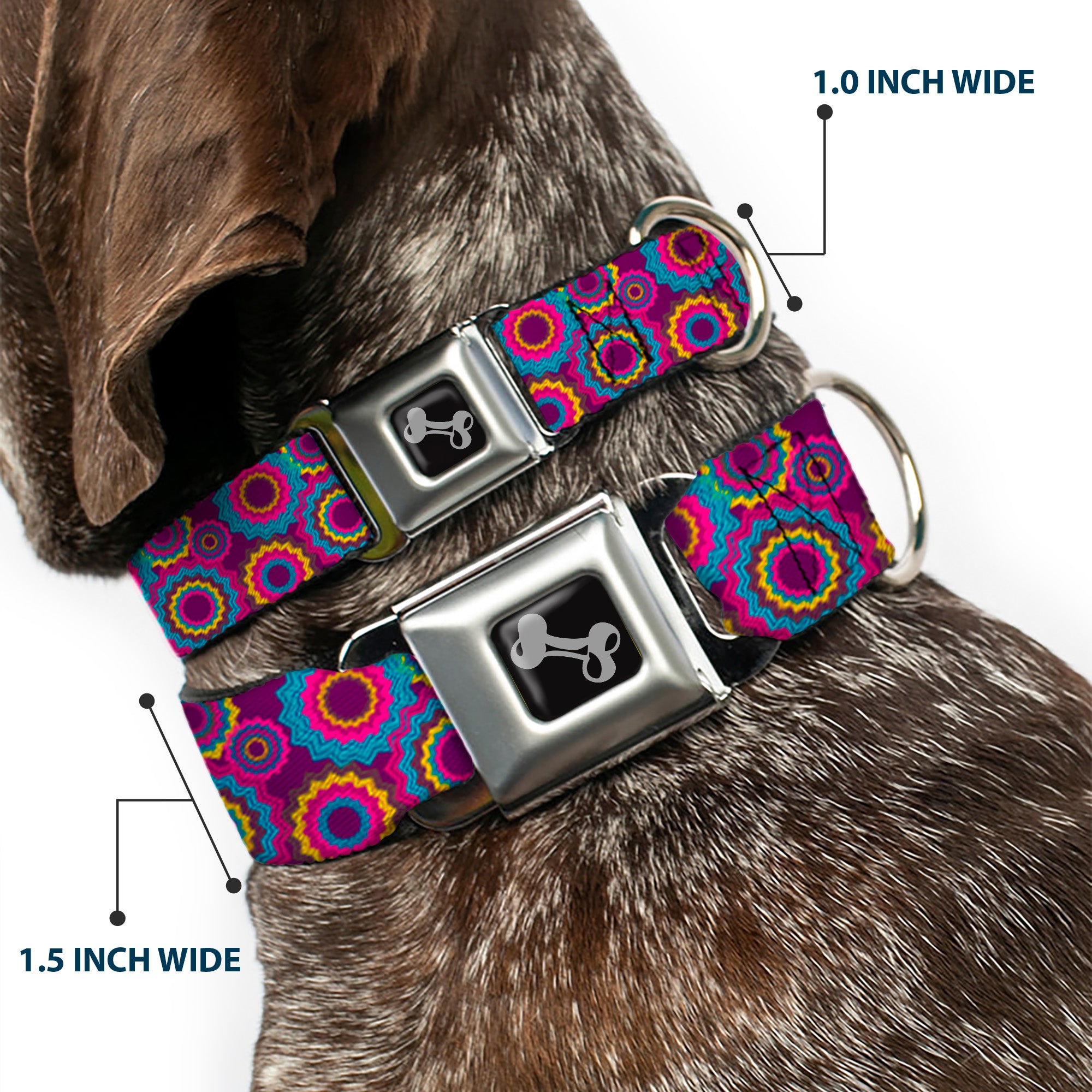 Dog Bone Seatbelt Buckle Collar - Jagged Rings Purples/Blues/Yellow Seatbelt Buckle Collars Buckle-Down